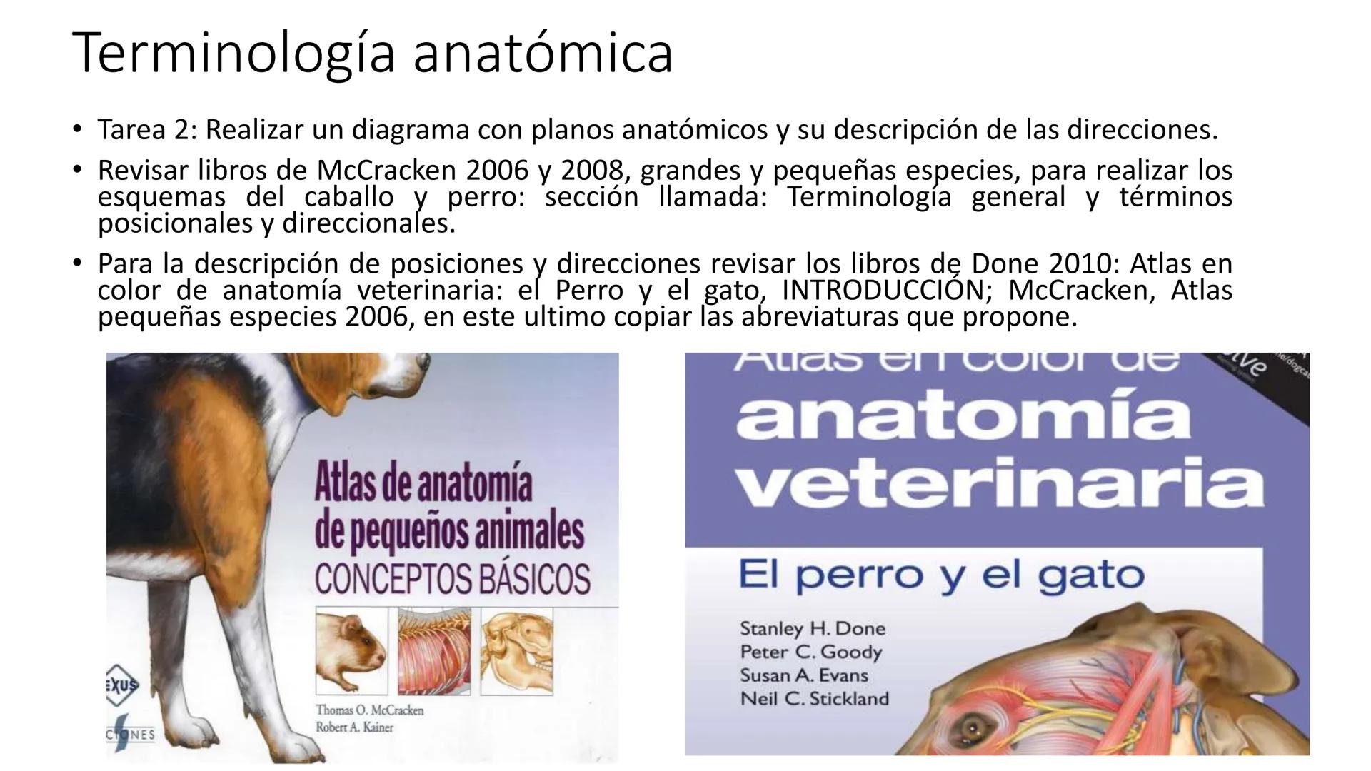SUNEO
# Universidad de la Costa
## Licenciatura en Medicina Veterinaria
# Anatomía topográfica veterinaria
COS
SIDAD DE LA COSTA UNIDAD 1