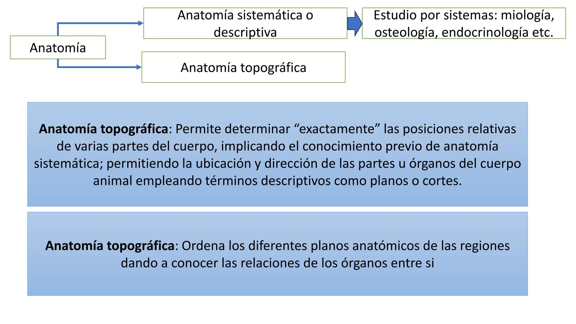 SUNEO
# Universidad de la Costa
## Licenciatura en Medicina Veterinaria
# Anatomía topográfica veterinaria
COS
SIDAD DE LA COSTA UNIDAD 1