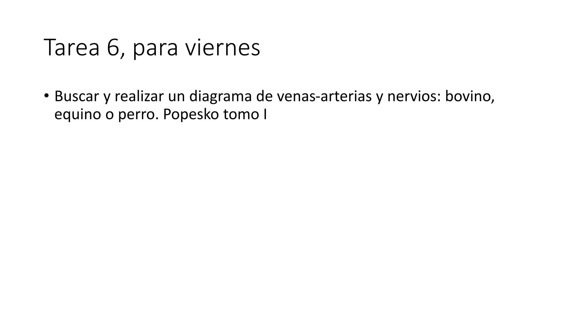 SUNEO
# Universidad de la Costa
## Licenciatura en Medicina Veterinaria
# Anatomía topográfica veterinaria
COS
SIDAD DE LA COSTA UNIDAD 1