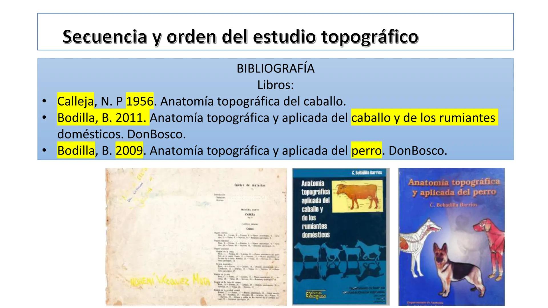 SUNEO
# Universidad de la Costa
## Licenciatura en Medicina Veterinaria
# Anatomía topográfica veterinaria
COS
SIDAD DE LA COSTA UNIDAD 1