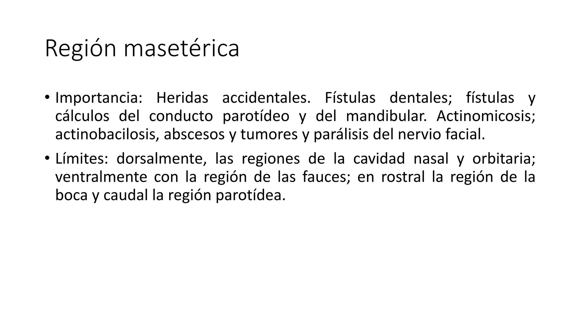 SUNEO
# Universidad de la Costa
## Licenciatura en Medicina Veterinaria
# Anatomía topográfica veterinaria
COS
SIDAD DE LA COSTA UNIDAD 1
