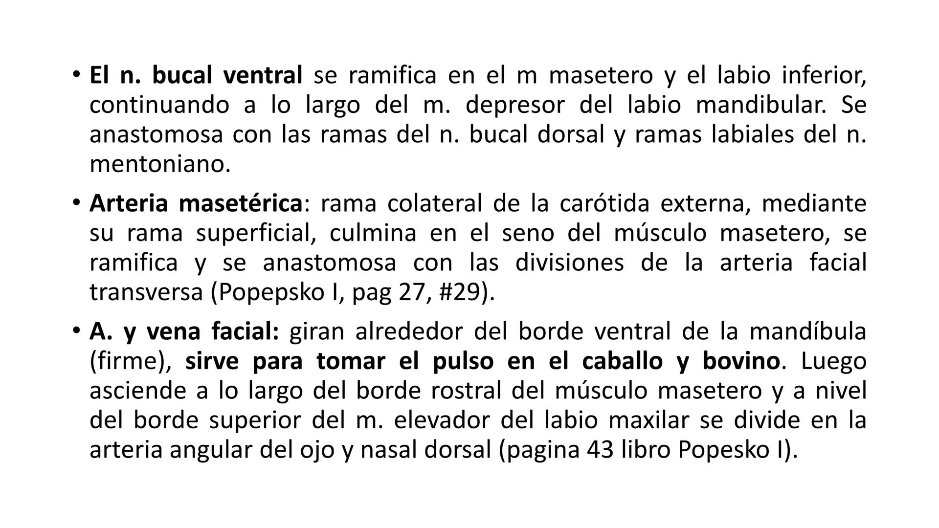 SUNEO
# Universidad de la Costa
## Licenciatura en Medicina Veterinaria
# Anatomía topográfica veterinaria
COS
SIDAD DE LA COSTA UNIDAD 1
