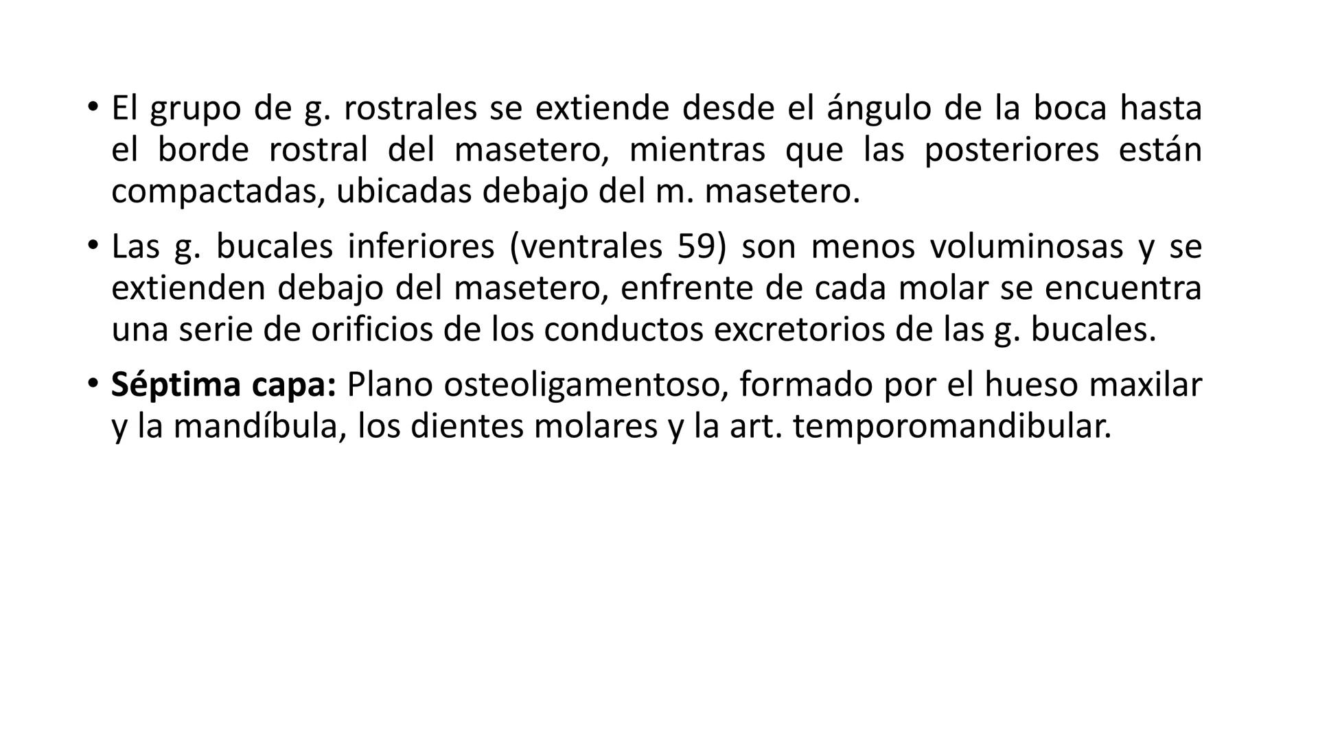 SUNEO
# Universidad de la Costa
## Licenciatura en Medicina Veterinaria
# Anatomía topográfica veterinaria
COS
SIDAD DE LA COSTA UNIDAD 1