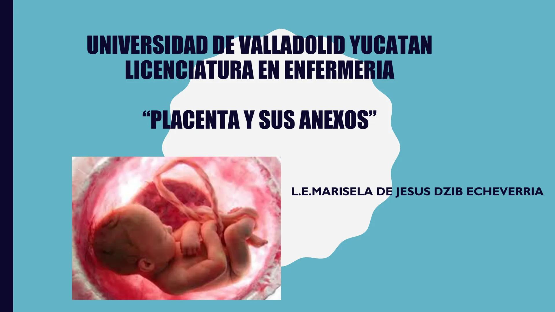 # UNIVERSIDAD DE VALLADOLID YUCATAN
# LICENCIATURA EN ENFERMERIA
# "PLACENTA Y SUS ANEXOS"
L.E.MARISELA DE JESUS DZIB ECHEVERRIA # PLACEN