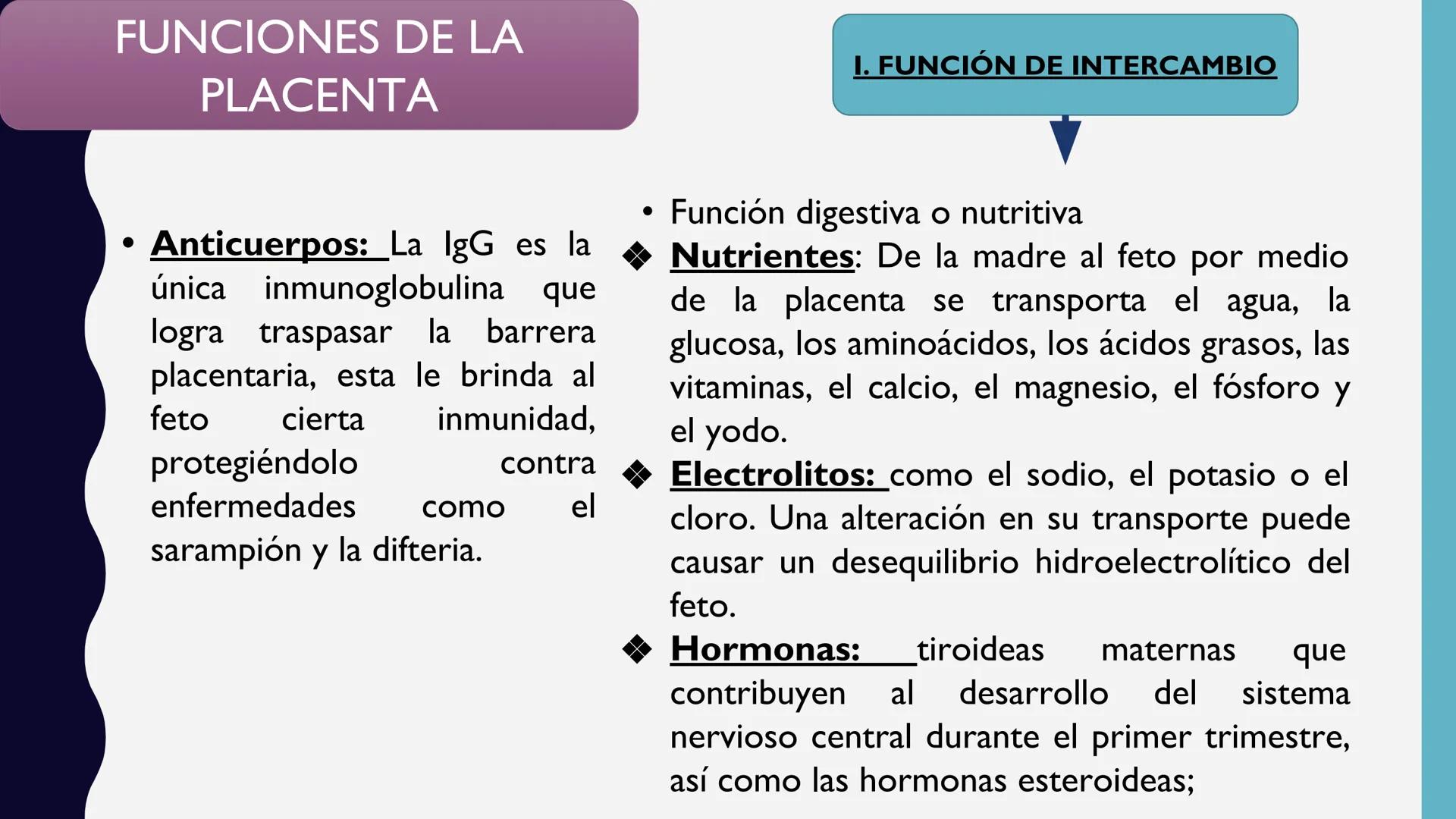 # UNIVERSIDAD DE VALLADOLID YUCATAN
# LICENCIATURA EN ENFERMERIA
# "PLACENTA Y SUS ANEXOS"
L.E.MARISELA DE JESUS DZIB ECHEVERRIA # PLACEN