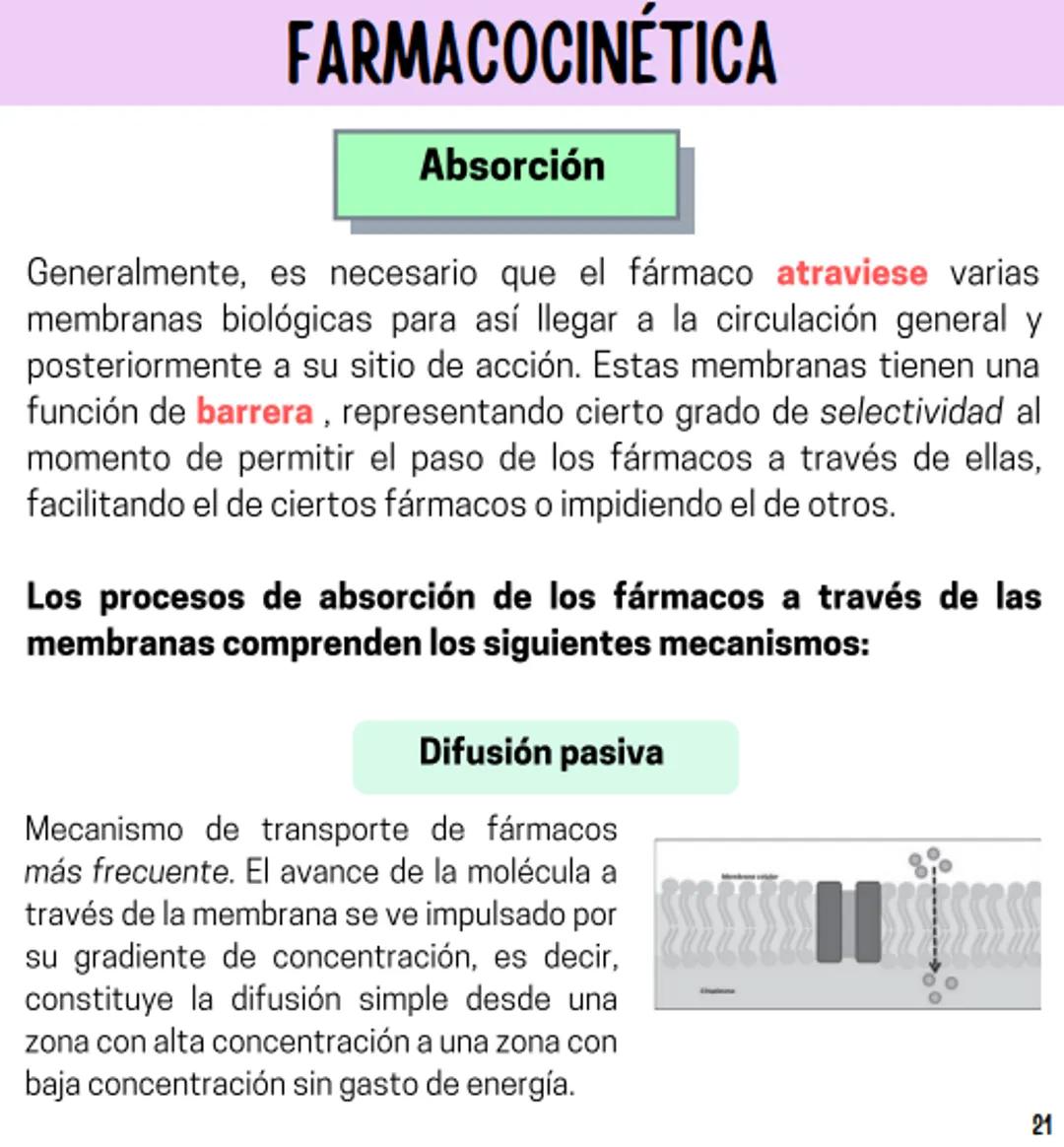 Índice
Definiciones
1
Fármacos analgésicos
75
Aceclofenaco
76
Ramas de la farmacología
2
Ácido acetilsalicílico
77
Formas farmacéuticas
5
Ác
