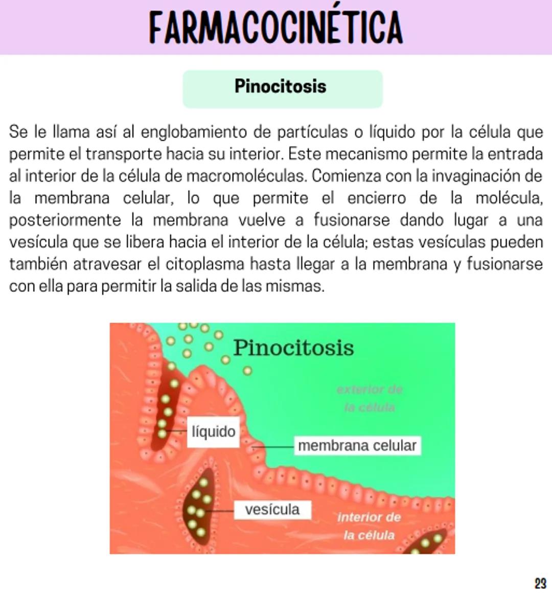 Índice
Definiciones
1
Fármacos analgésicos
75
Aceclofenaco
76
Ramas de la farmacología
2
Ácido acetilsalicílico
77
Formas farmacéuticas
5
Ác