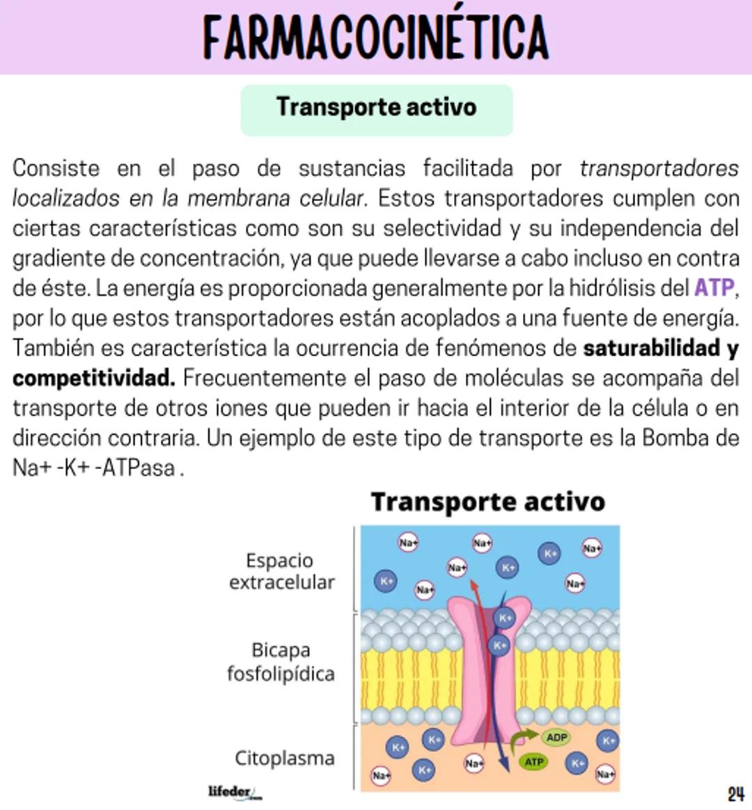 Índice
Definiciones
1
Fármacos analgésicos
75
Aceclofenaco
76
Ramas de la farmacología
2
Ácido acetilsalicílico
77
Formas farmacéuticas
5
Ác