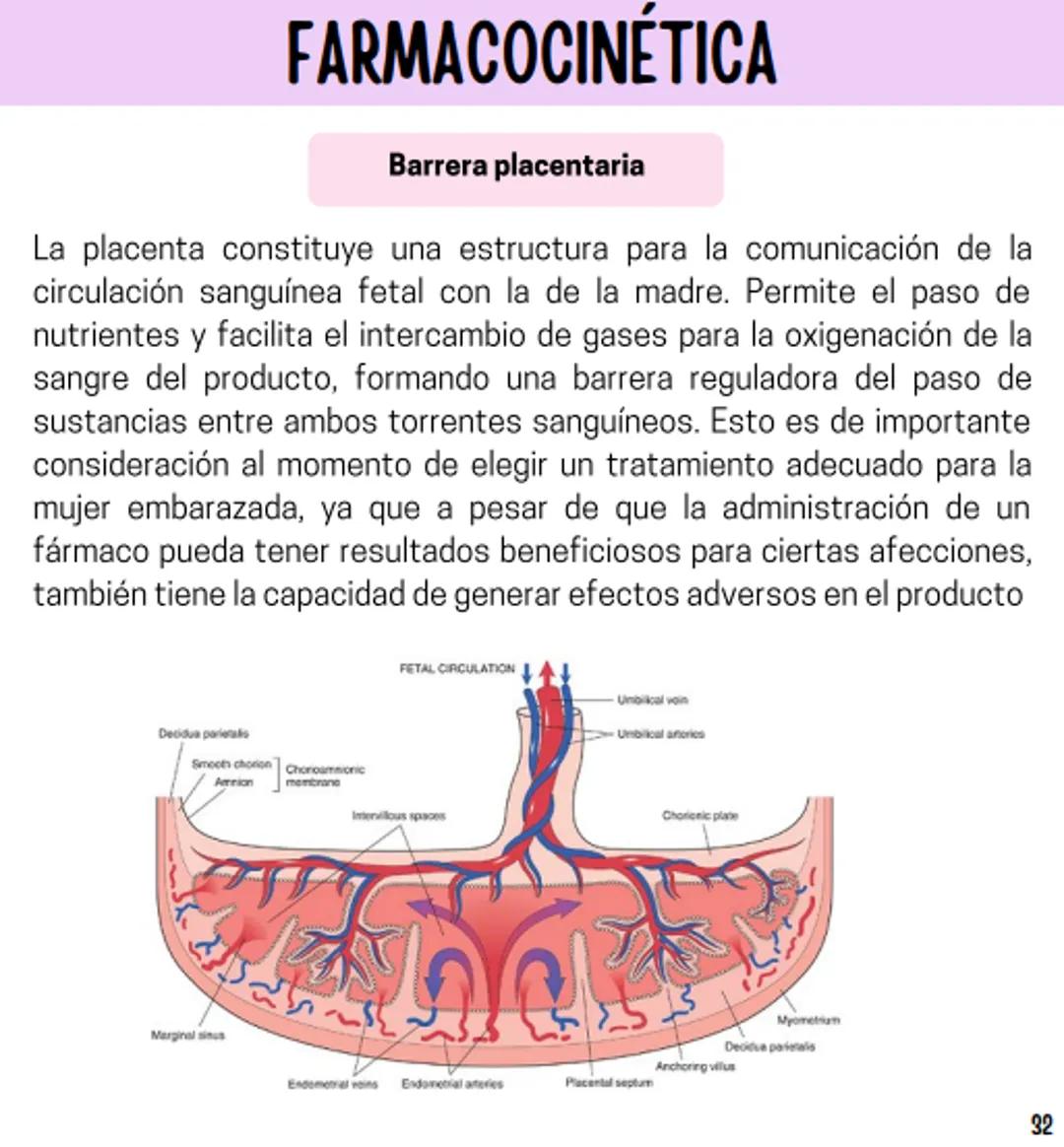 Índice
Definiciones
1
Fármacos analgésicos
75
Aceclofenaco
76
Ramas de la farmacología
2
Ácido acetilsalicílico
77
Formas farmacéuticas
5
Ác