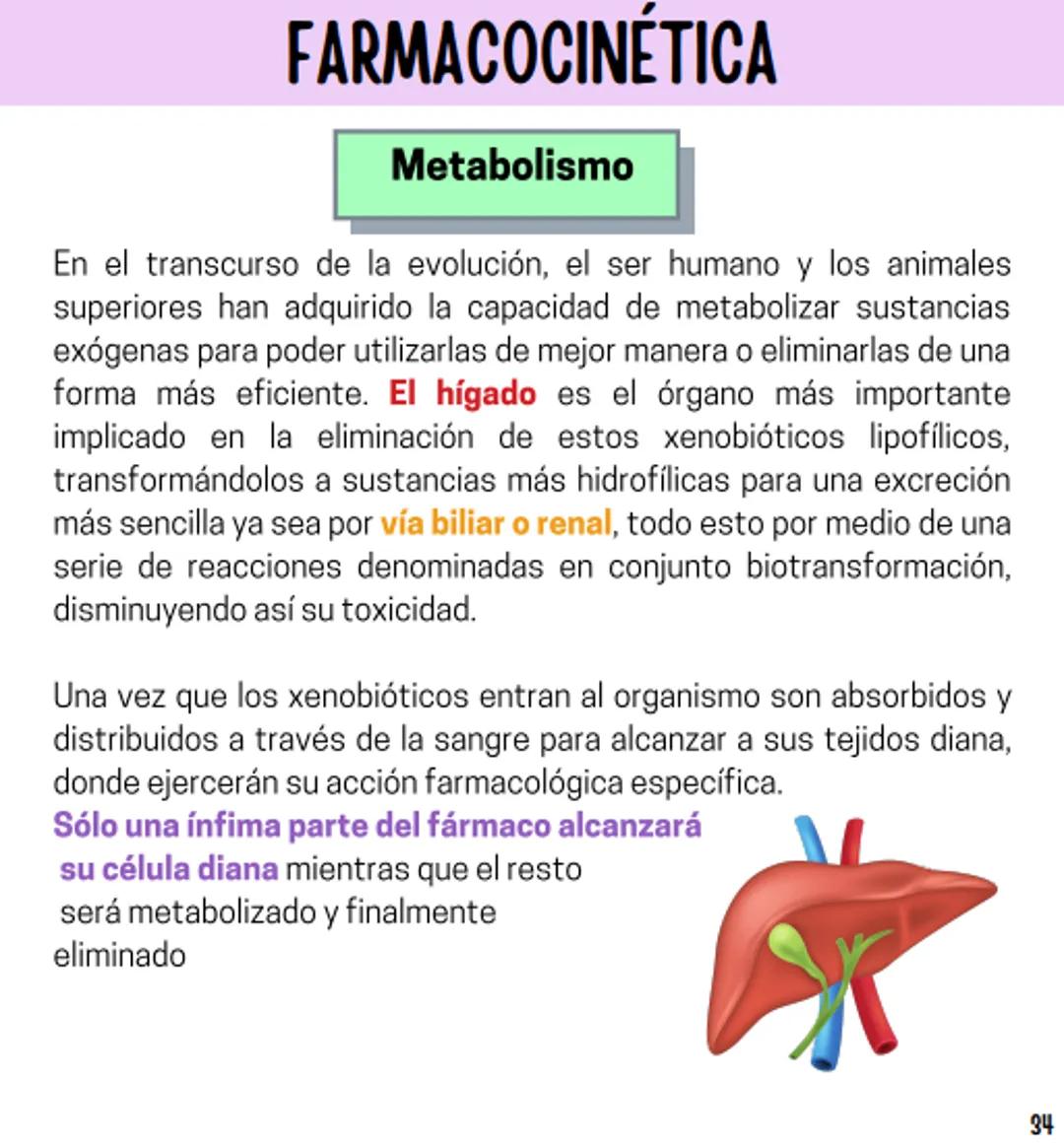 Índice
Definiciones
1
Fármacos analgésicos
75
Aceclofenaco
76
Ramas de la farmacología
2
Ácido acetilsalicílico
77
Formas farmacéuticas
5
Ác
