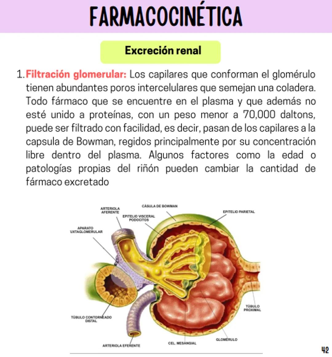 Índice
Definiciones
1
Fármacos analgésicos
75
Aceclofenaco
76
Ramas de la farmacología
2
Ácido acetilsalicílico
77
Formas farmacéuticas
5
Ác