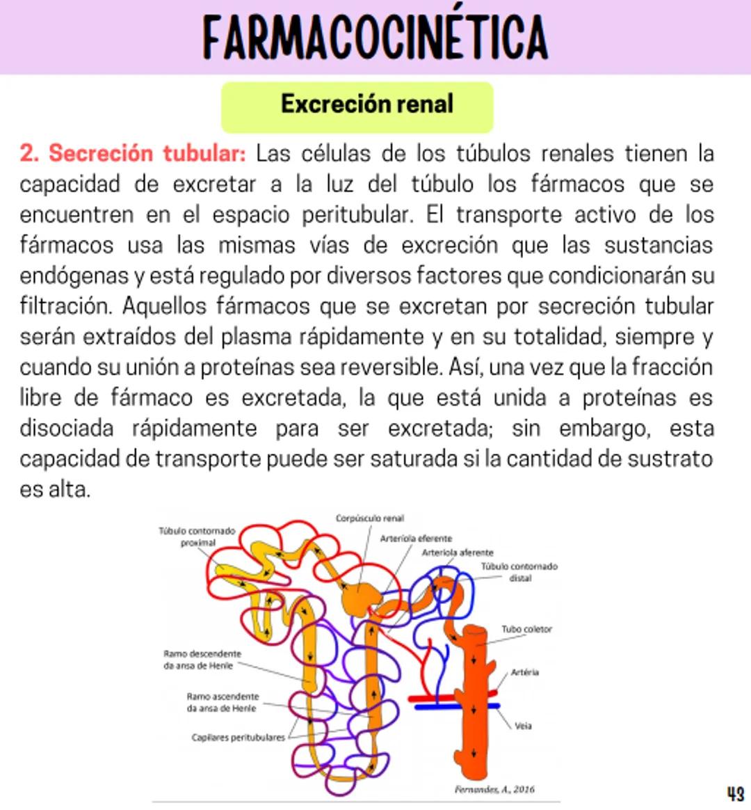 Índice
Definiciones
1
Fármacos analgésicos
75
Aceclofenaco
76
Ramas de la farmacología
2
Ácido acetilsalicílico
77
Formas farmacéuticas
5
Ác
