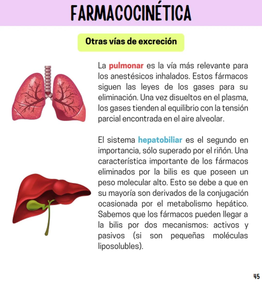 Índice
Definiciones
1
Fármacos analgésicos
75
Aceclofenaco
76
Ramas de la farmacología
2
Ácido acetilsalicílico
77
Formas farmacéuticas
5
Ác