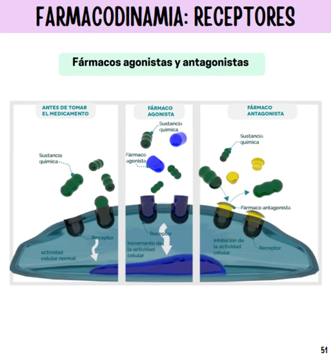 Índice
Definiciones
1
Fármacos analgésicos
75
Aceclofenaco
76
Ramas de la farmacología
2
Ácido acetilsalicílico
77
Formas farmacéuticas
5
Ác