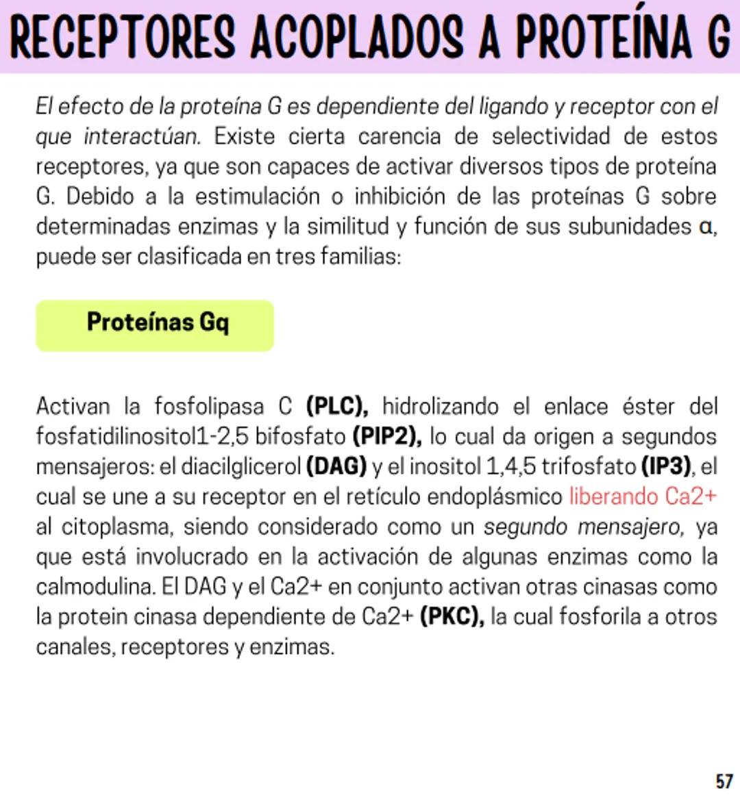 Índice
Definiciones
1
Fármacos analgésicos
75
Aceclofenaco
76
Ramas de la farmacología
2
Ácido acetilsalicílico
77
Formas farmacéuticas
5
Ác