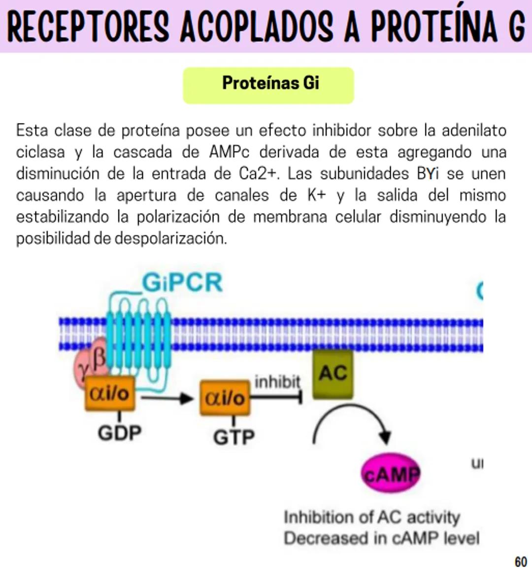 Índice
Definiciones
1
Fármacos analgésicos
75
Aceclofenaco
76
Ramas de la farmacología
2
Ácido acetilsalicílico
77
Formas farmacéuticas
5
Ác