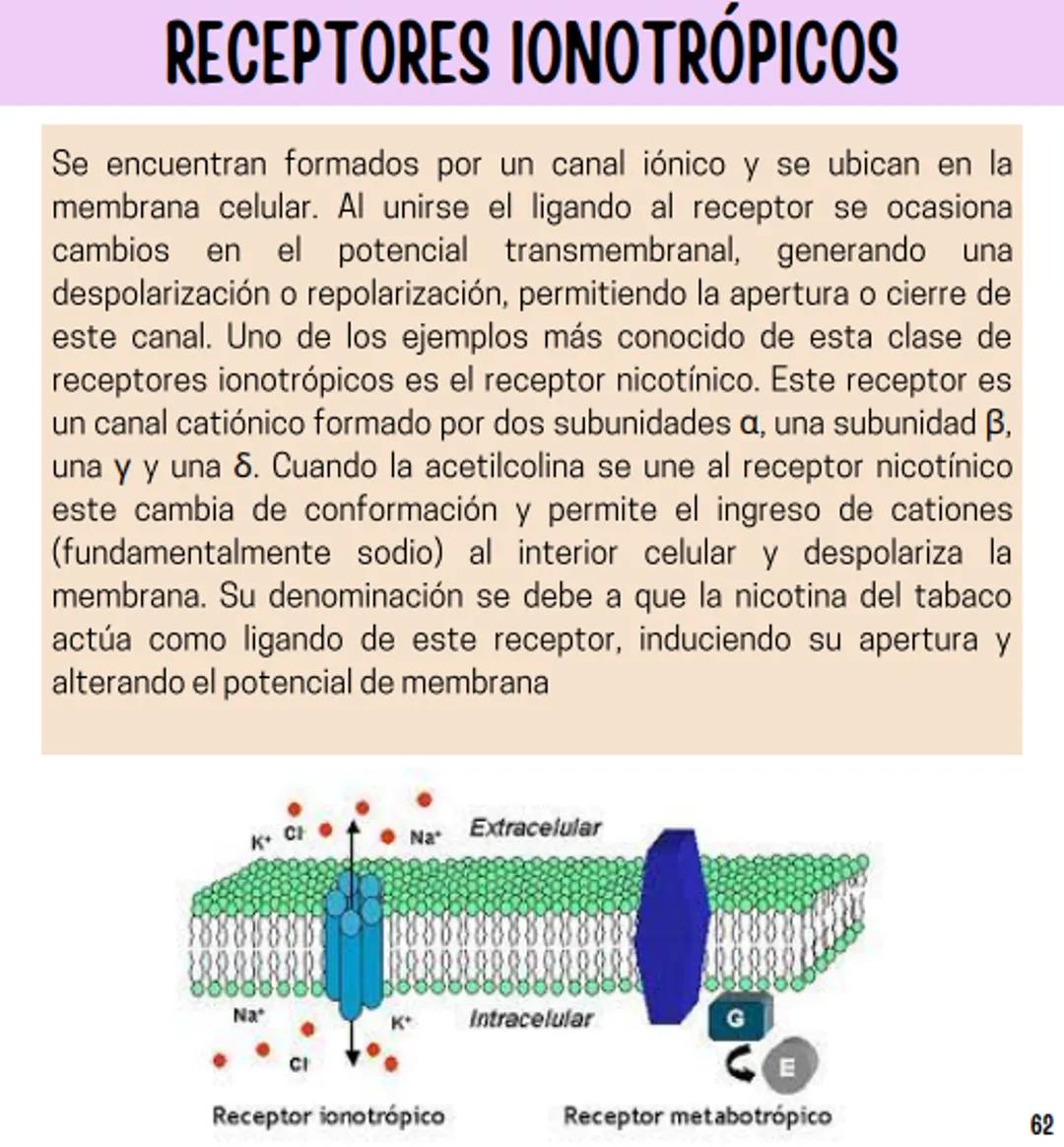 Índice
Definiciones
1
Fármacos analgésicos
75
Aceclofenaco
76
Ramas de la farmacología
2
Ácido acetilsalicílico
77
Formas farmacéuticas
5
Ác