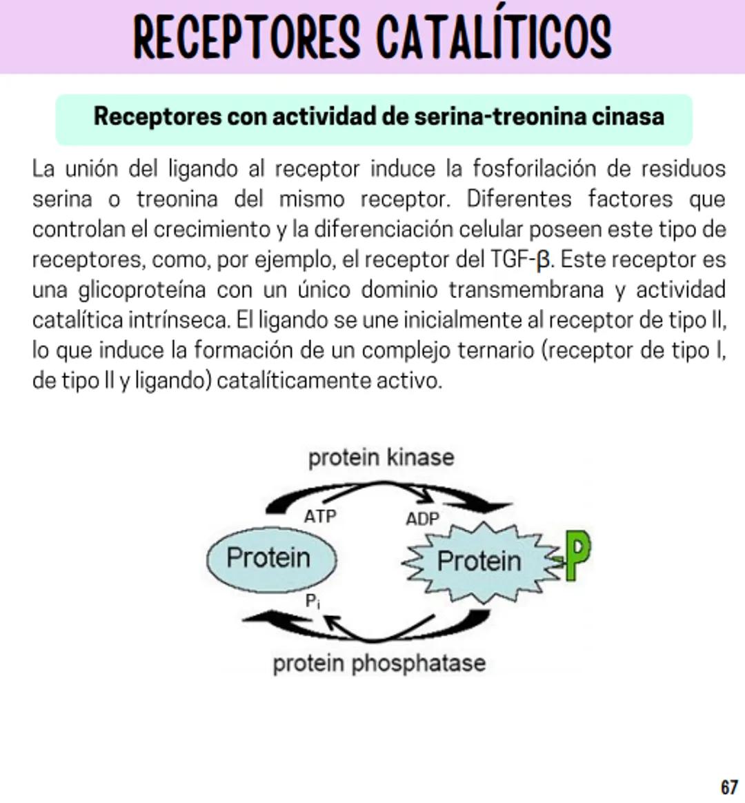 Índice
Definiciones
1
Fármacos analgésicos
75
Aceclofenaco
76
Ramas de la farmacología
2
Ácido acetilsalicílico
77
Formas farmacéuticas
5
Ác