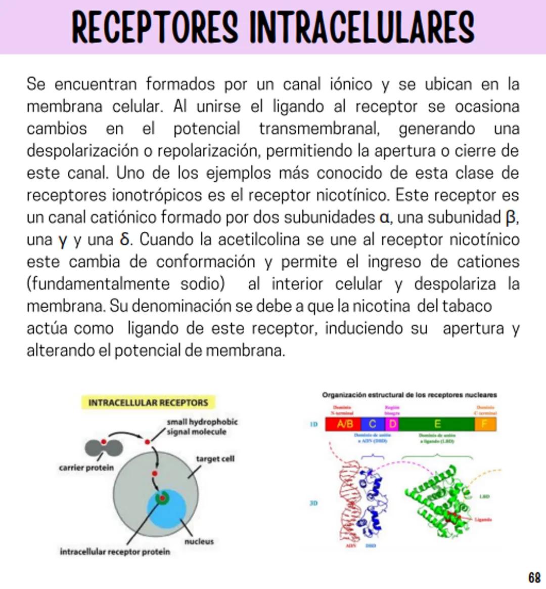 Índice
Definiciones
1
Fármacos analgésicos
75
Aceclofenaco
76
Ramas de la farmacología
2
Ácido acetilsalicílico
77
Formas farmacéuticas
5
Ác