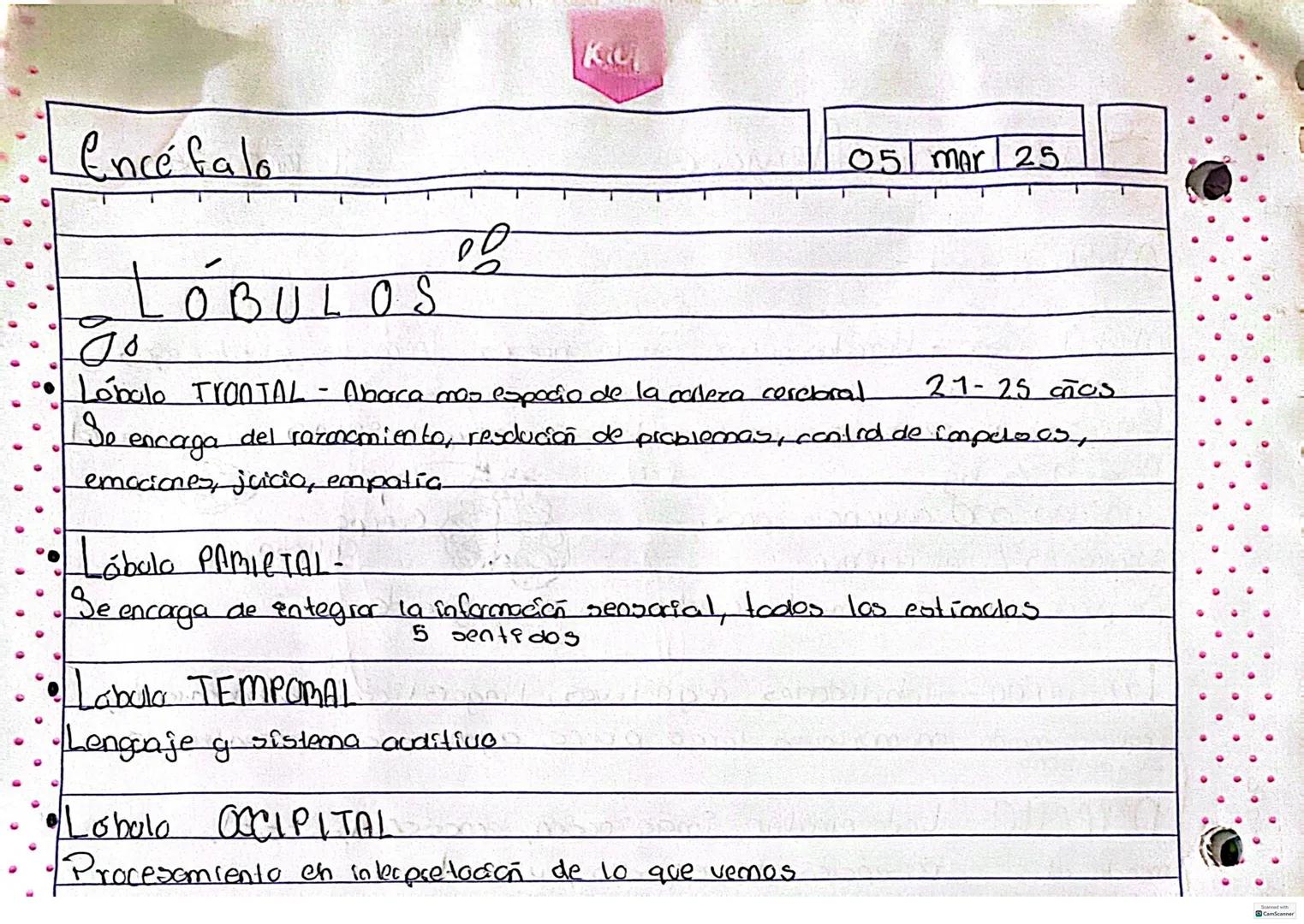 # SISTEMA Nervioso
00
Percibe ealimulos, procesarlos y responder ante ellos.
Celula principal del sistema nervioso son las neuronas
neur