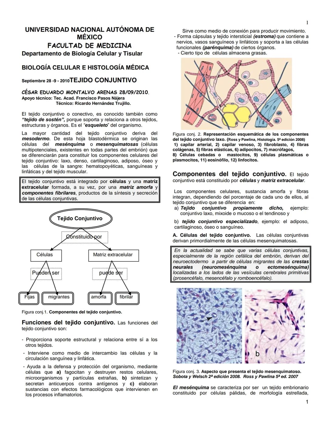# UNIVERSIDAD NACIONAL AUTÓNOMA DE
MÉXICO
# FACULTAD DE MEDICINA
## Departamento de Biología Celular y Tisular
# BIOLOGÍA CELULAR E HISTO