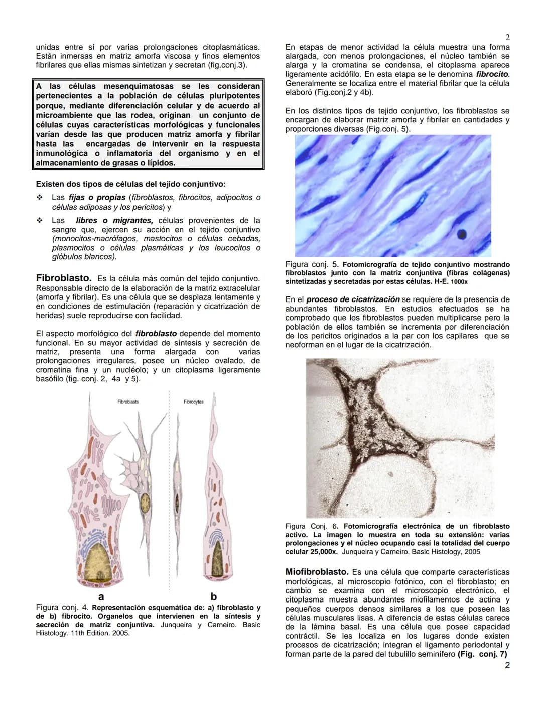 # UNIVERSIDAD NACIONAL AUTÓNOMA DE
MÉXICO
# FACULTAD DE MEDICINA
## Departamento de Biología Celular y Tisular
# BIOLOGÍA CELULAR E HISTO