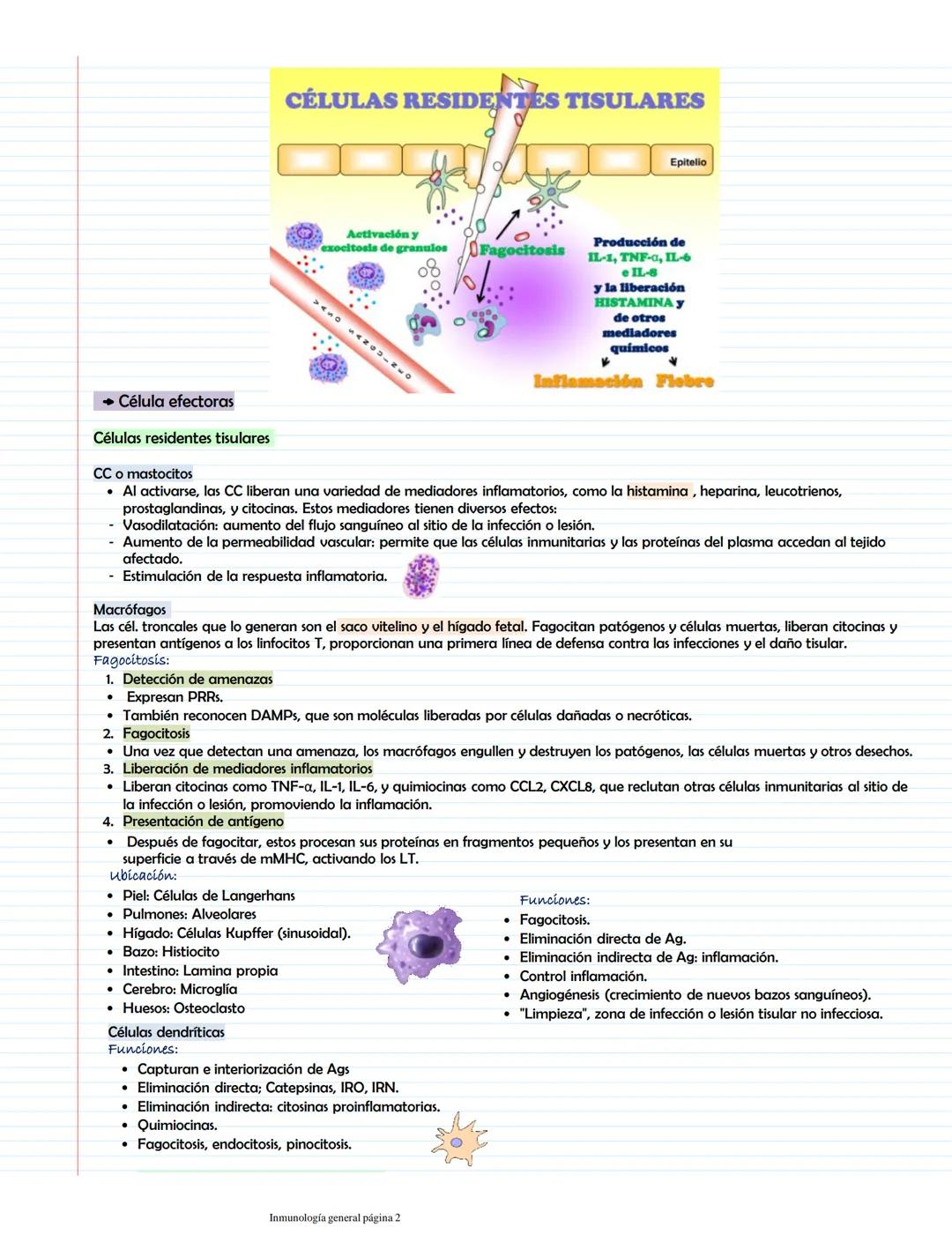 # Características generales de la II, PAMPs y PRRS
Inmunidad innata
Participantes:
Primera línea
Inmunidad innata
Barreras naturales
M