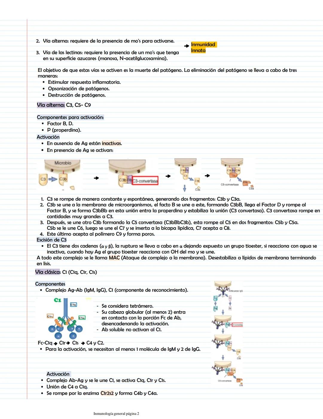 # Características generales de la II, PAMPs y PRRS
Inmunidad innata
Participantes:
Primera línea
Inmunidad innata
Barreras naturales
M