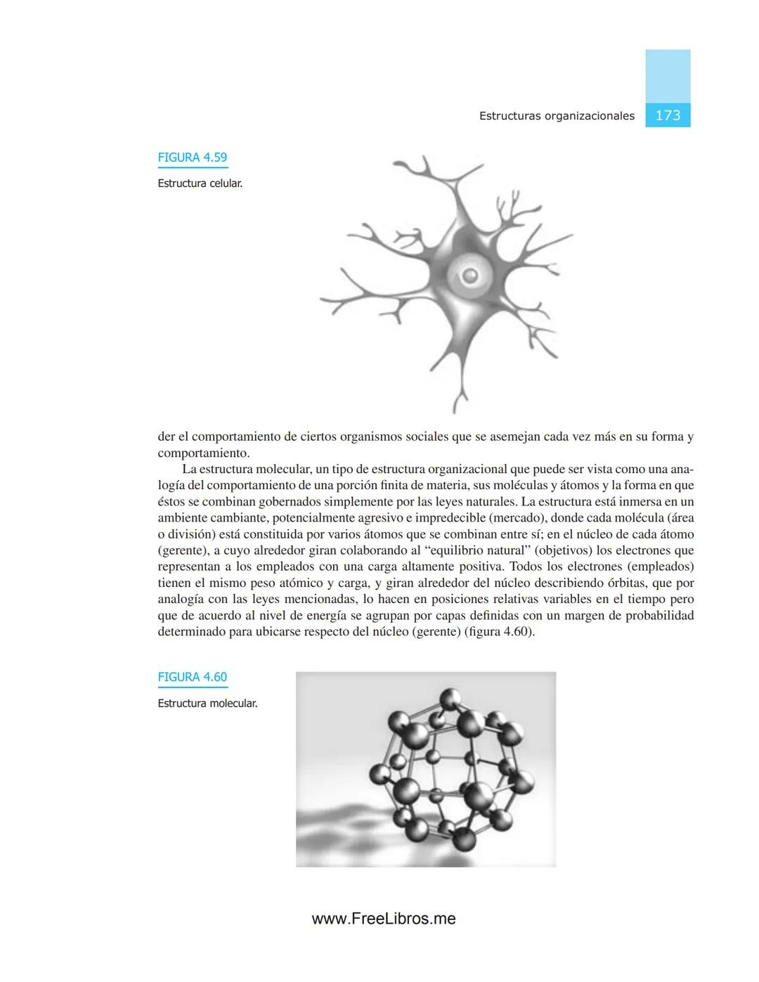# 4
# Estructuras
# organizacionales
OBJETIVOS
* Aplicar las normas y recomendaciones técnicas funda-
mentales para conceptualizar, dis