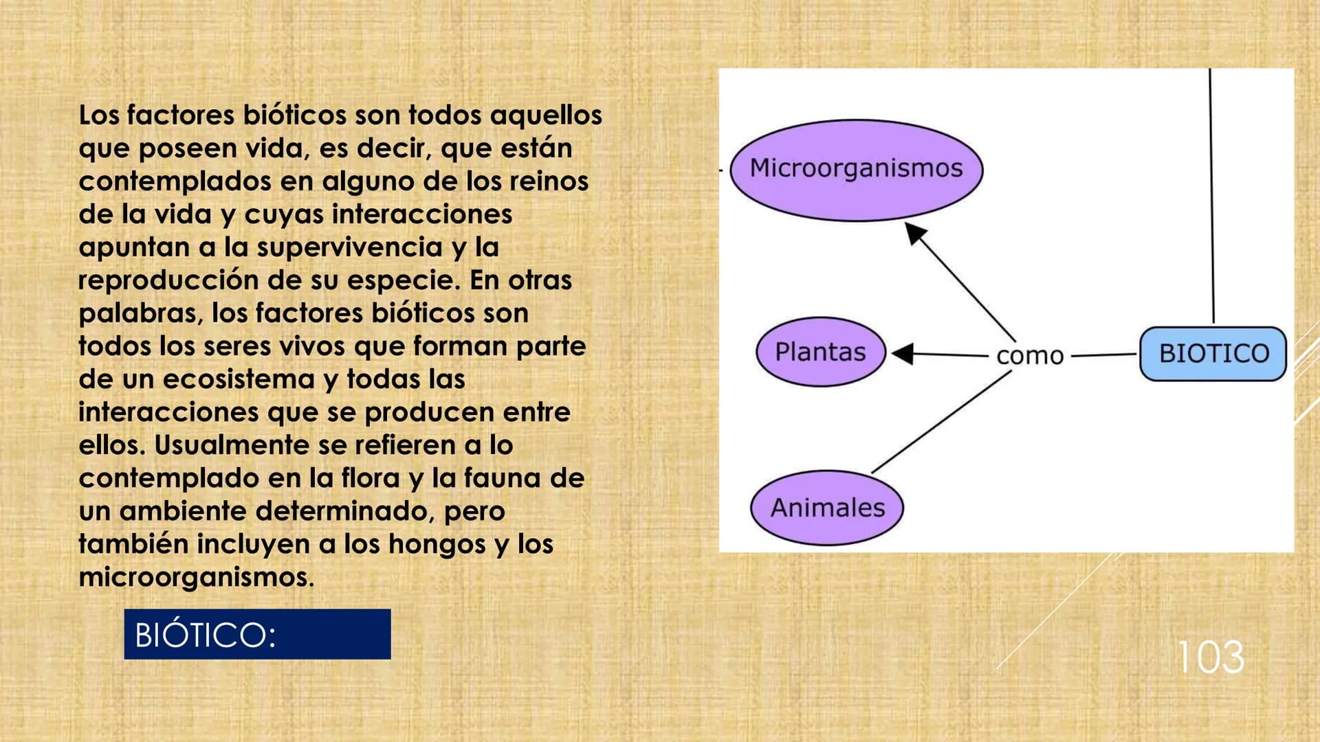 # NIVELES DE ORGANIZACIÓN
4 Nivel celular
5 Nivel tisular
6 Órganos
7 Sistemas
8 Individuos
3 Nivel subcelular
2 Nivel molecular
1 N