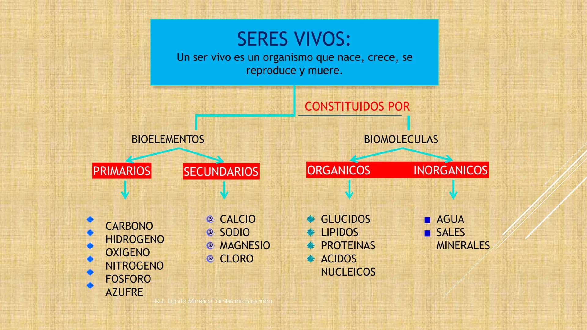 # NIVELES DE ORGANIZACIÓN
4 Nivel celular
5 Nivel tisular
6 Órganos
7 Sistemas
8 Individuos
3 Nivel subcelular
2 Nivel molecular
1 N