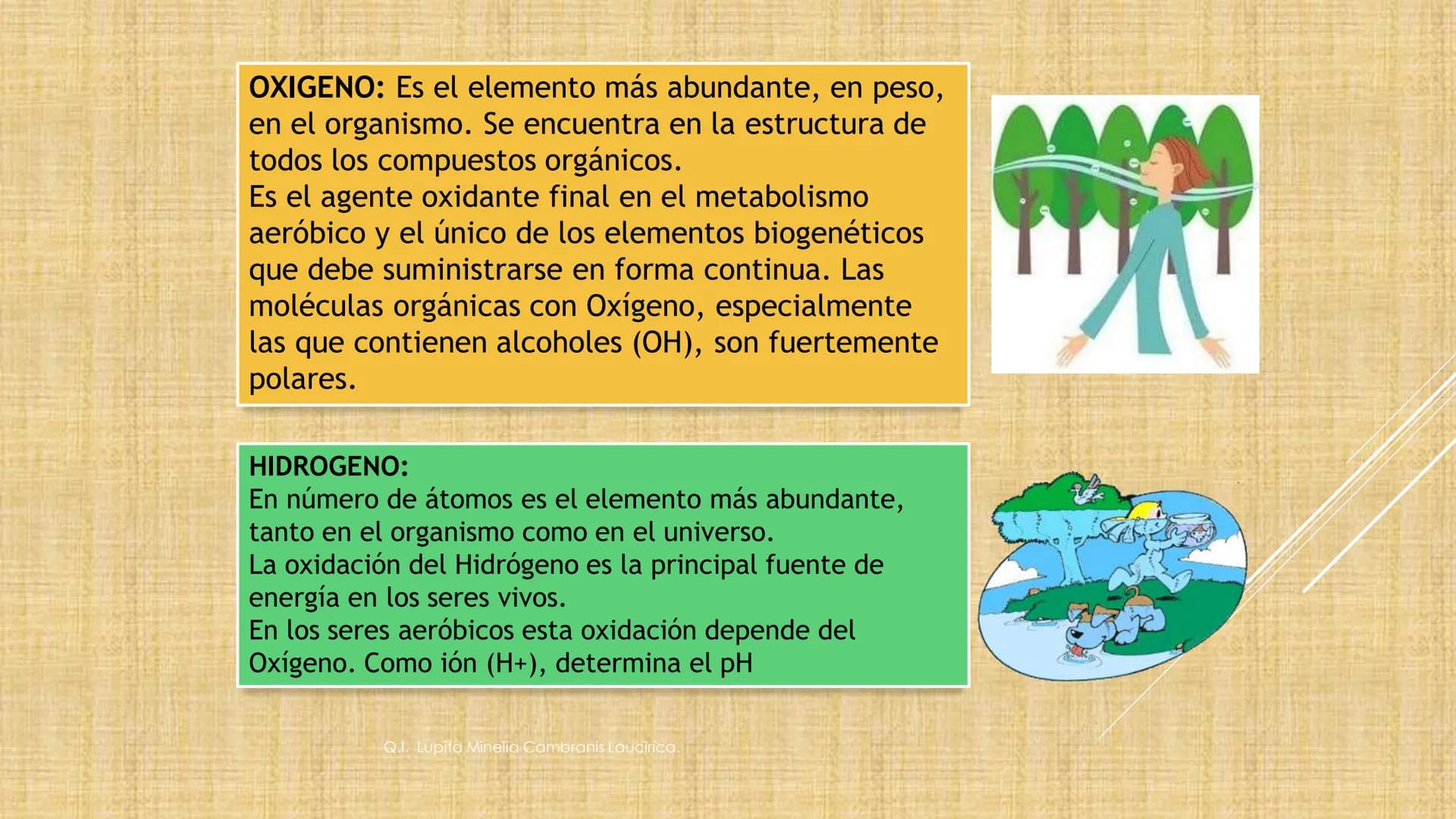 # NIVELES DE ORGANIZACIÓN
4 Nivel celular
5 Nivel tisular
6 Órganos
7 Sistemas
8 Individuos
3 Nivel subcelular
2 Nivel molecular
1 N