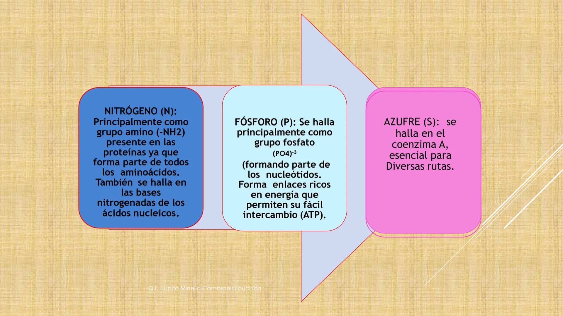 # NIVELES DE ORGANIZACIÓN
4 Nivel celular
5 Nivel tisular
6 Órganos
7 Sistemas
8 Individuos
3 Nivel subcelular
2 Nivel molecular
1 N