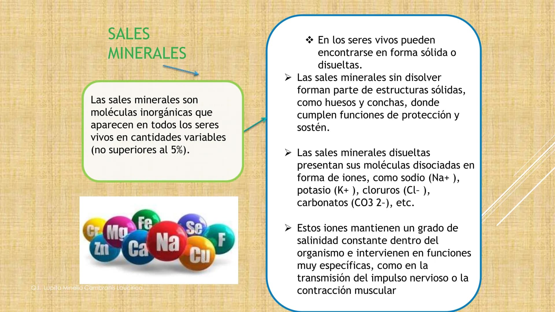 # NIVELES DE ORGANIZACIÓN
4 Nivel celular
5 Nivel tisular
6 Órganos
7 Sistemas
8 Individuos
3 Nivel subcelular
2 Nivel molecular
1 N