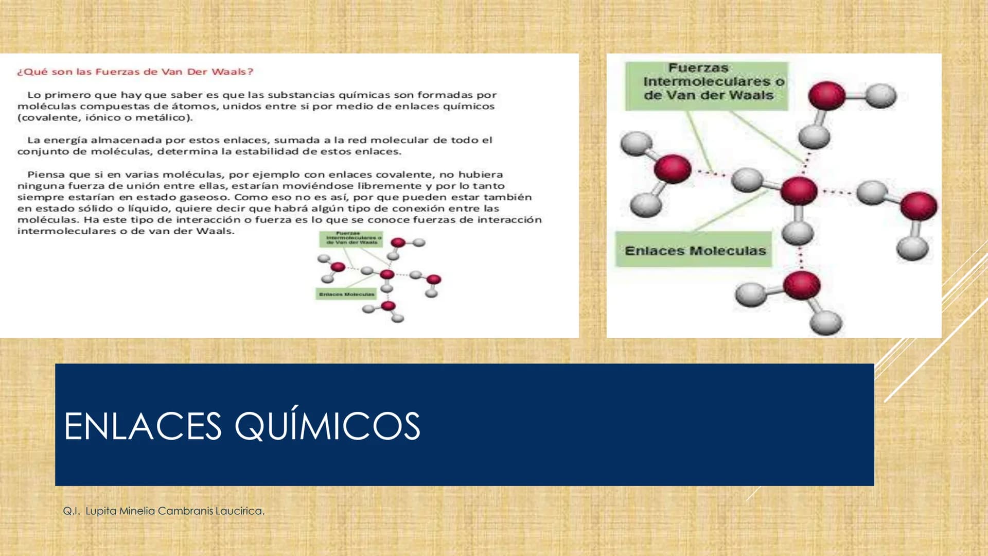 # NIVELES DE ORGANIZACIÓN
4 Nivel celular
5 Nivel tisular
6 Órganos
7 Sistemas
8 Individuos
3 Nivel subcelular
2 Nivel molecular
1 N