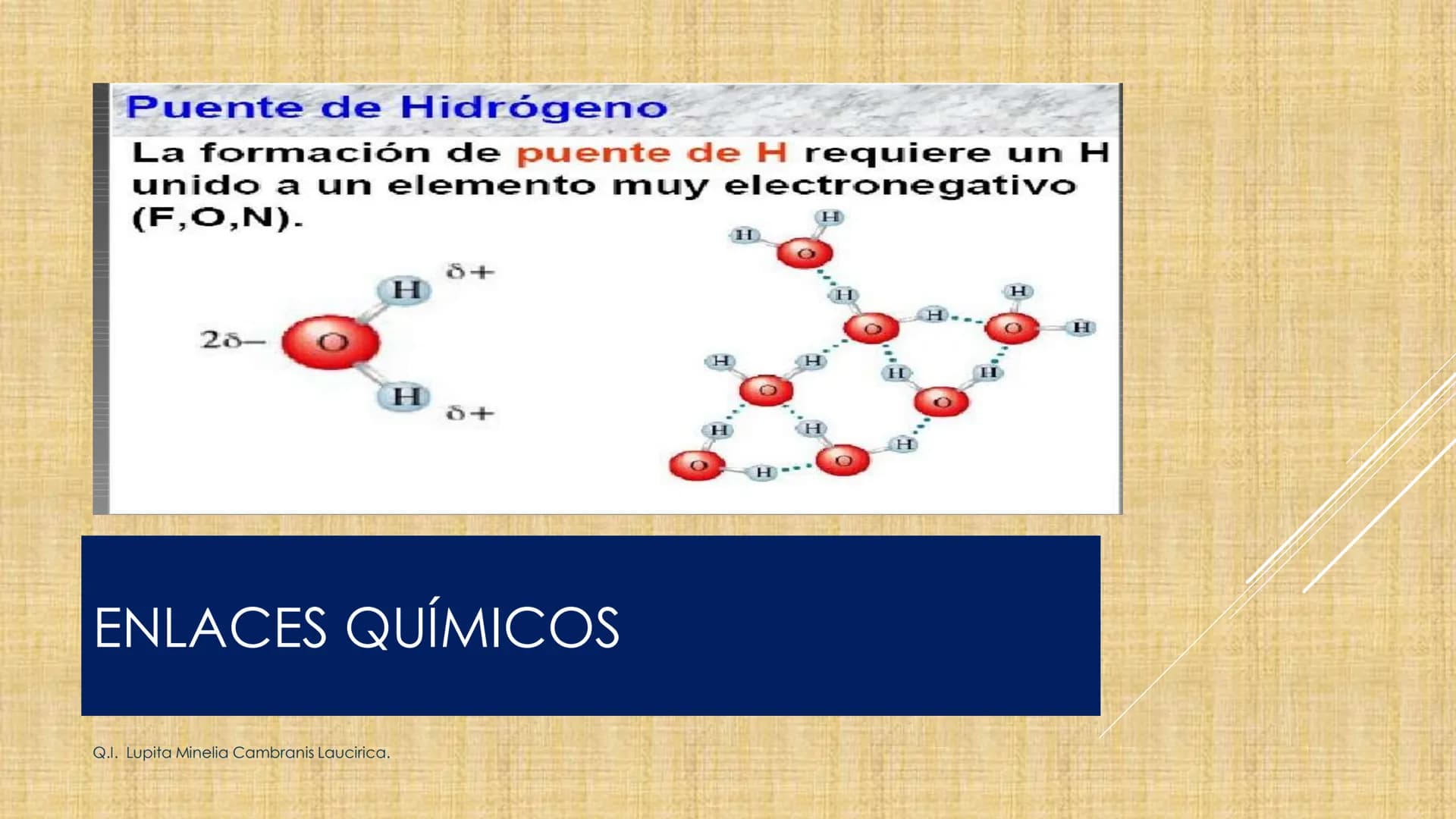 # NIVELES DE ORGANIZACIÓN
4 Nivel celular
5 Nivel tisular
6 Órganos
7 Sistemas
8 Individuos
3 Nivel subcelular
2 Nivel molecular
1 N