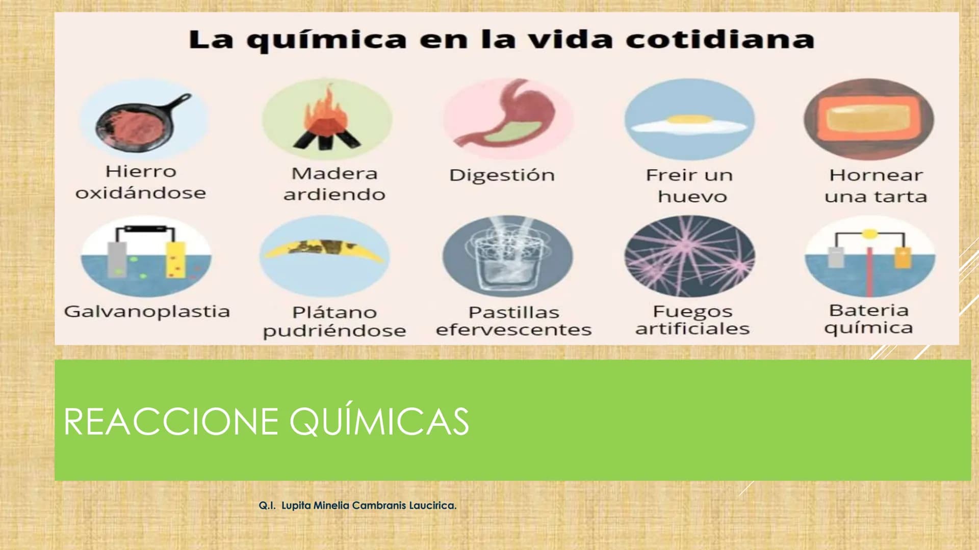 # NIVELES DE ORGANIZACIÓN
4 Nivel celular
5 Nivel tisular
6 Órganos
7 Sistemas
8 Individuos
3 Nivel subcelular
2 Nivel molecular
1 N