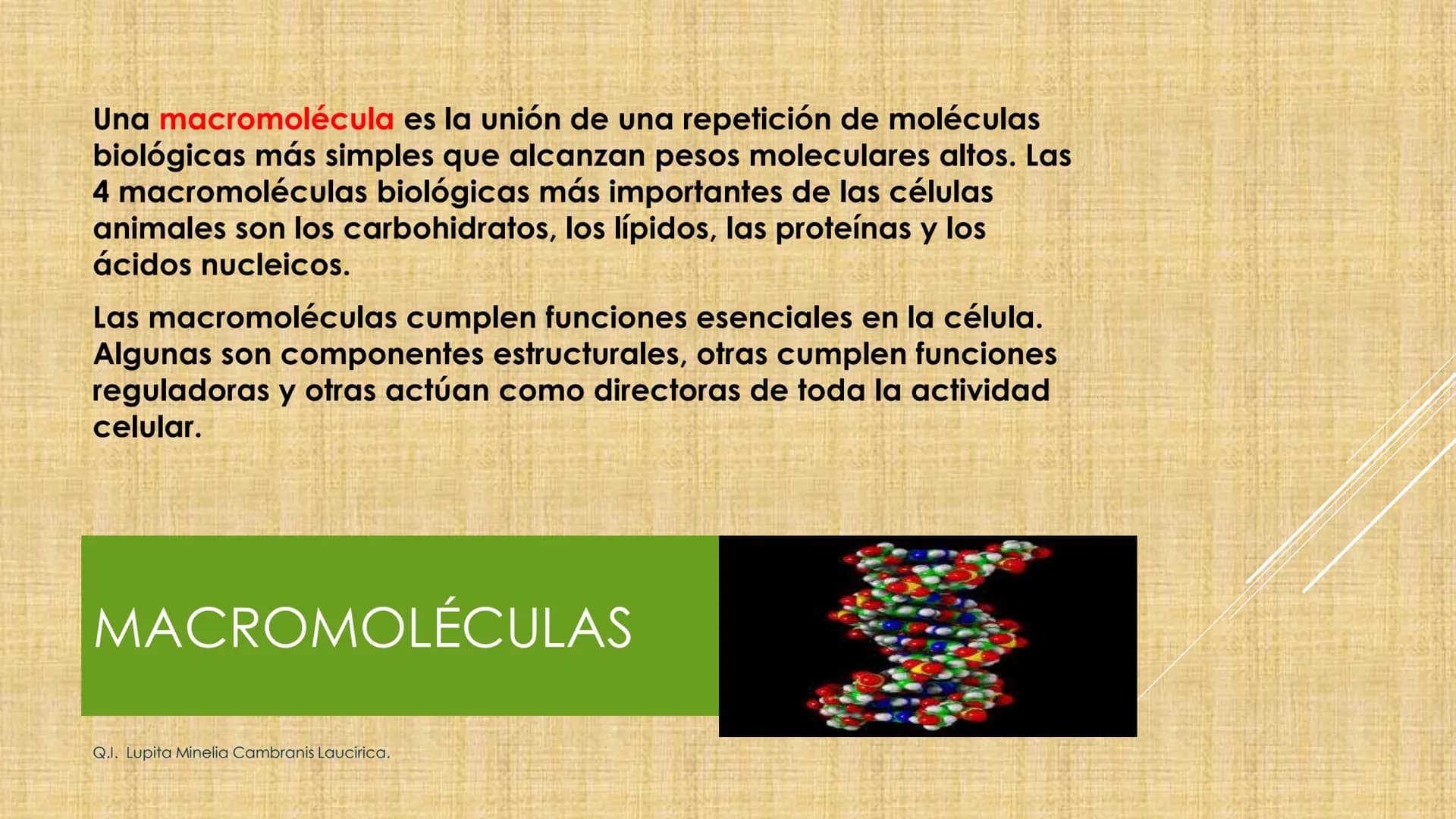 # NIVELES DE ORGANIZACIÓN
4 Nivel celular
5 Nivel tisular
6 Órganos
7 Sistemas
8 Individuos
3 Nivel subcelular
2 Nivel molecular
1 N