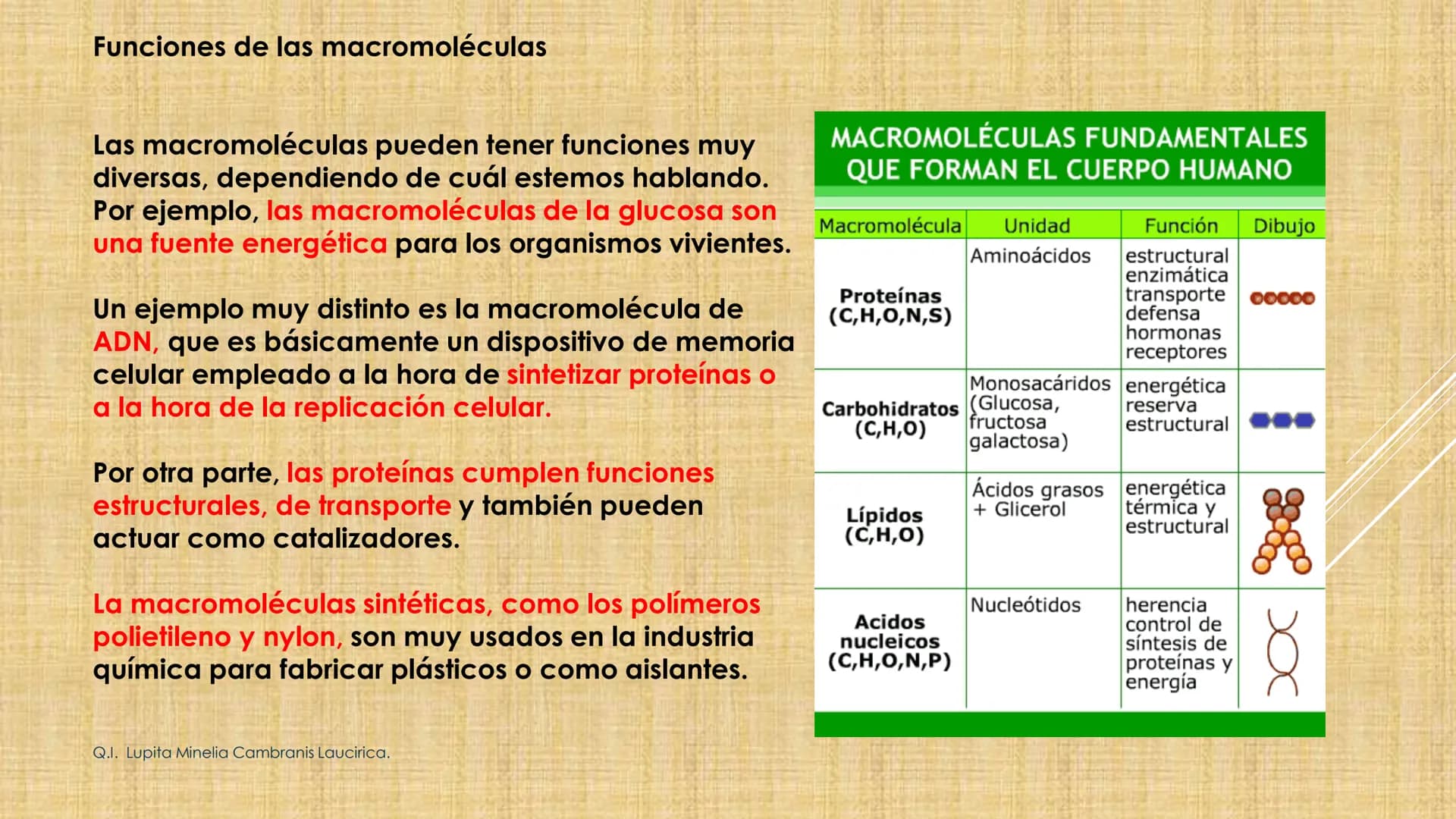 # NIVELES DE ORGANIZACIÓN
4 Nivel celular
5 Nivel tisular
6 Órganos
7 Sistemas
8 Individuos
3 Nivel subcelular
2 Nivel molecular
1 N
