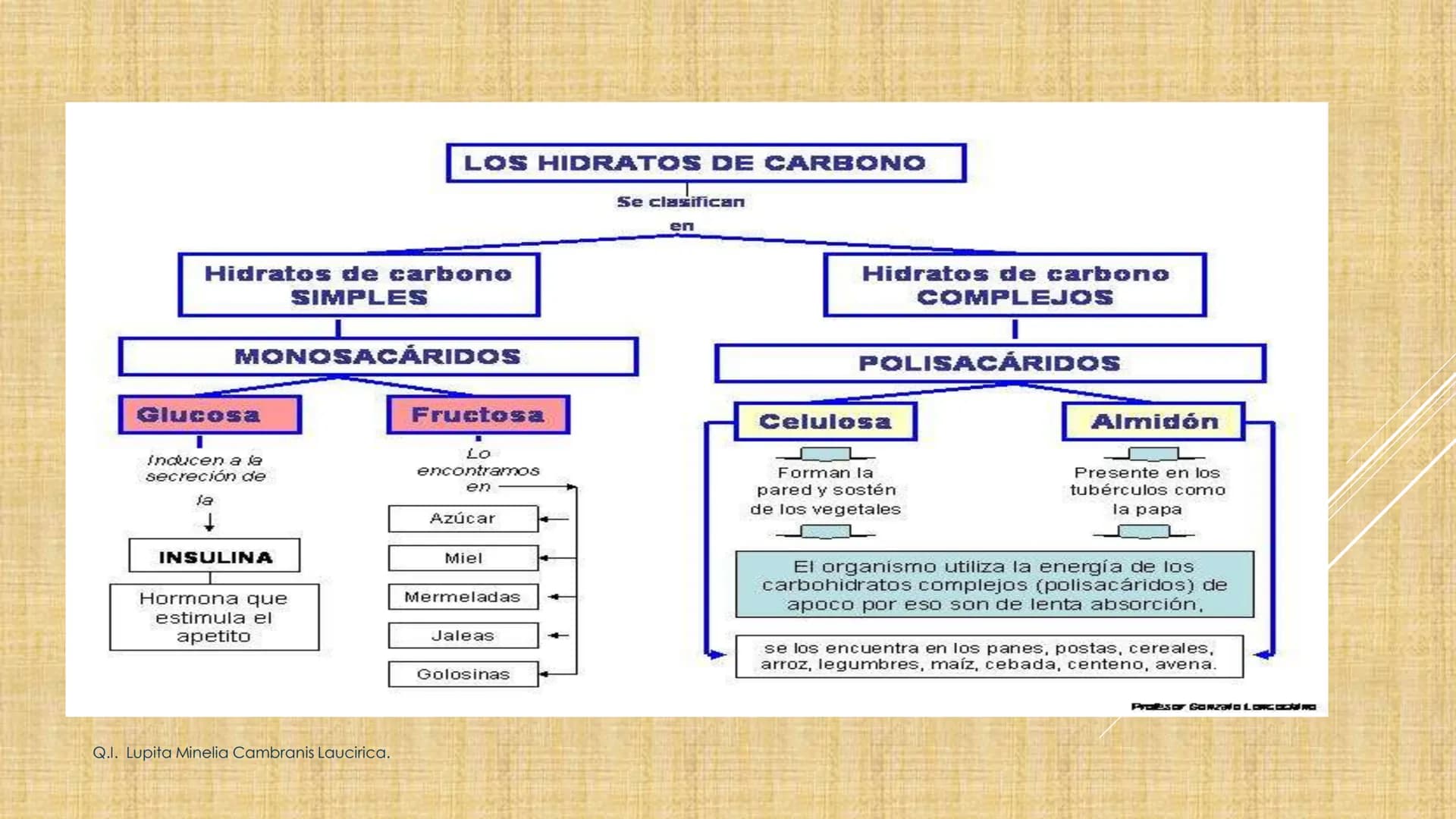 # NIVELES DE ORGANIZACIÓN
4 Nivel celular
5 Nivel tisular
6 Órganos
7 Sistemas
8 Individuos
3 Nivel subcelular
2 Nivel molecular
1 N