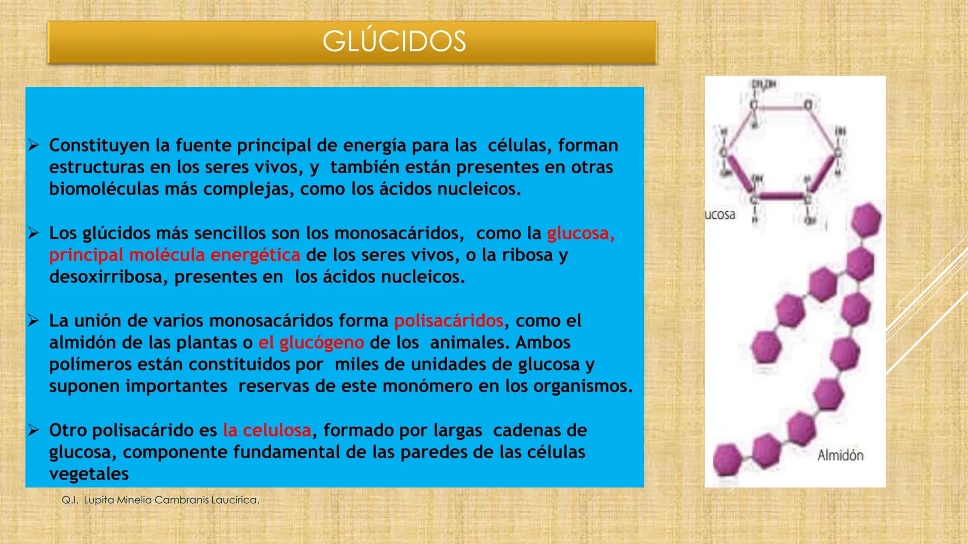 # NIVELES DE ORGANIZACIÓN
4 Nivel celular
5 Nivel tisular
6 Órganos
7 Sistemas
8 Individuos
3 Nivel subcelular
2 Nivel molecular
1 N