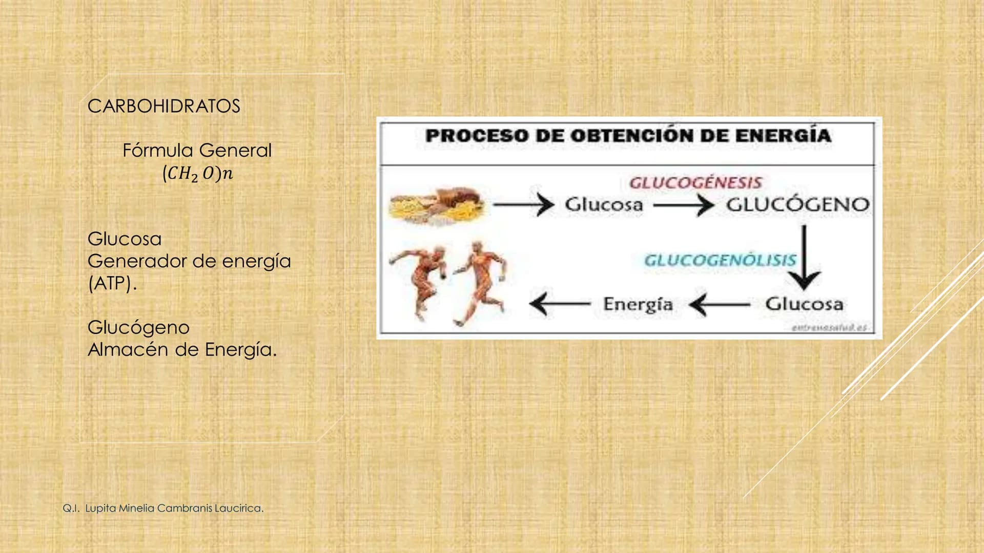 # NIVELES DE ORGANIZACIÓN
4 Nivel celular
5 Nivel tisular
6 Órganos
7 Sistemas
8 Individuos
3 Nivel subcelular
2 Nivel molecular
1 N