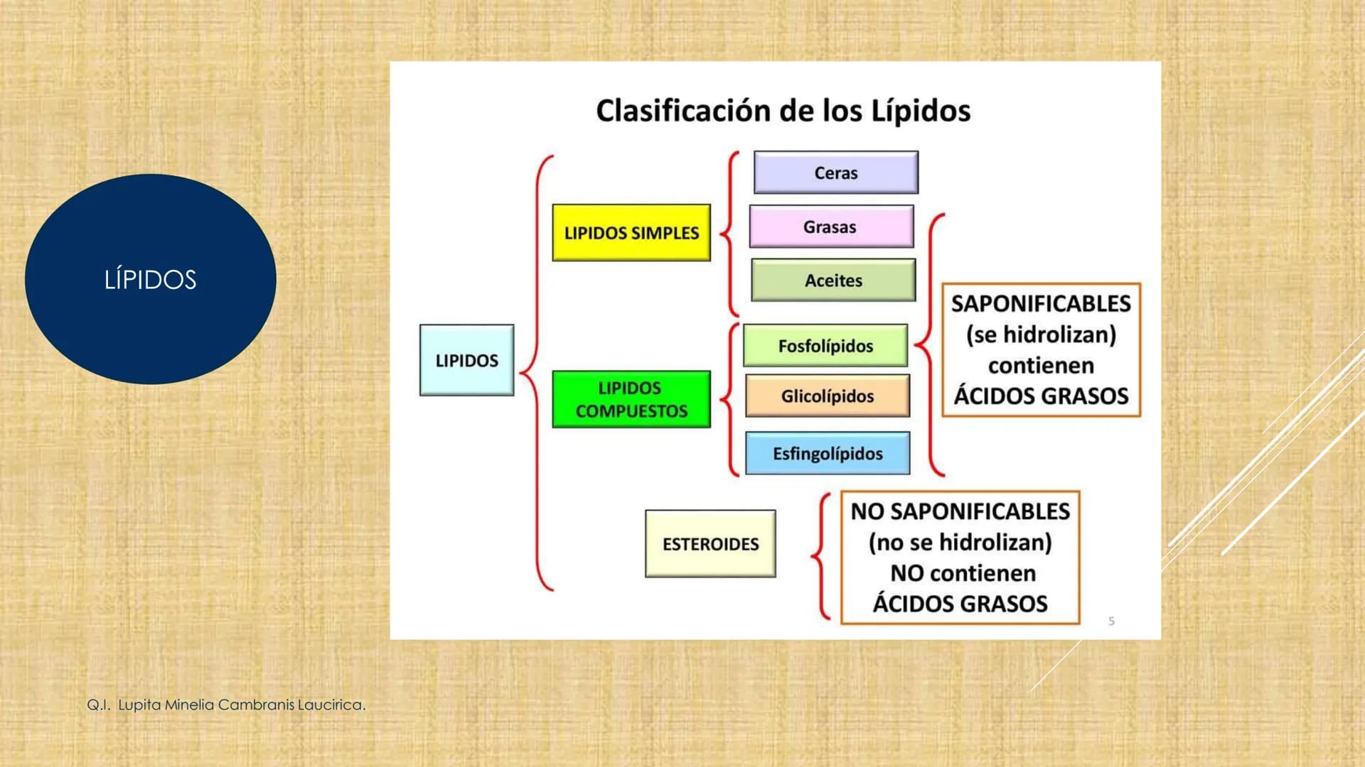 # NIVELES DE ORGANIZACIÓN
4 Nivel celular
5 Nivel tisular
6 Órganos
7 Sistemas
8 Individuos
3 Nivel subcelular
2 Nivel molecular
1 N
