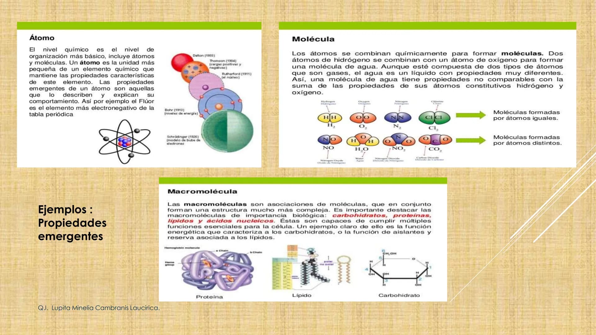 # NIVELES DE ORGANIZACIÓN
4 Nivel celular
5 Nivel tisular
6 Órganos
7 Sistemas
8 Individuos
3 Nivel subcelular
2 Nivel molecular
1 N