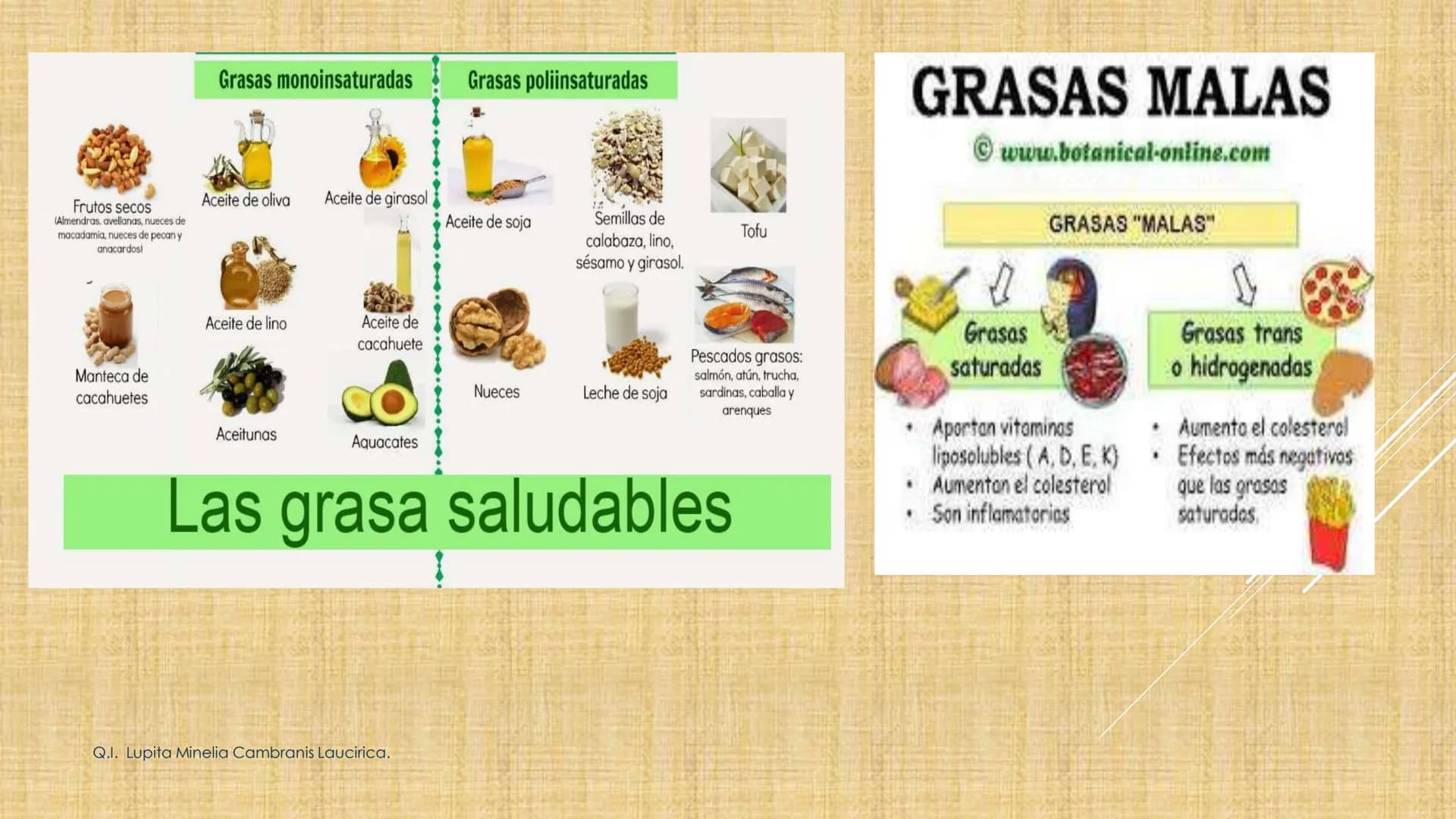# NIVELES DE ORGANIZACIÓN
4 Nivel celular
5 Nivel tisular
6 Órganos
7 Sistemas
8 Individuos
3 Nivel subcelular
2 Nivel molecular
1 N