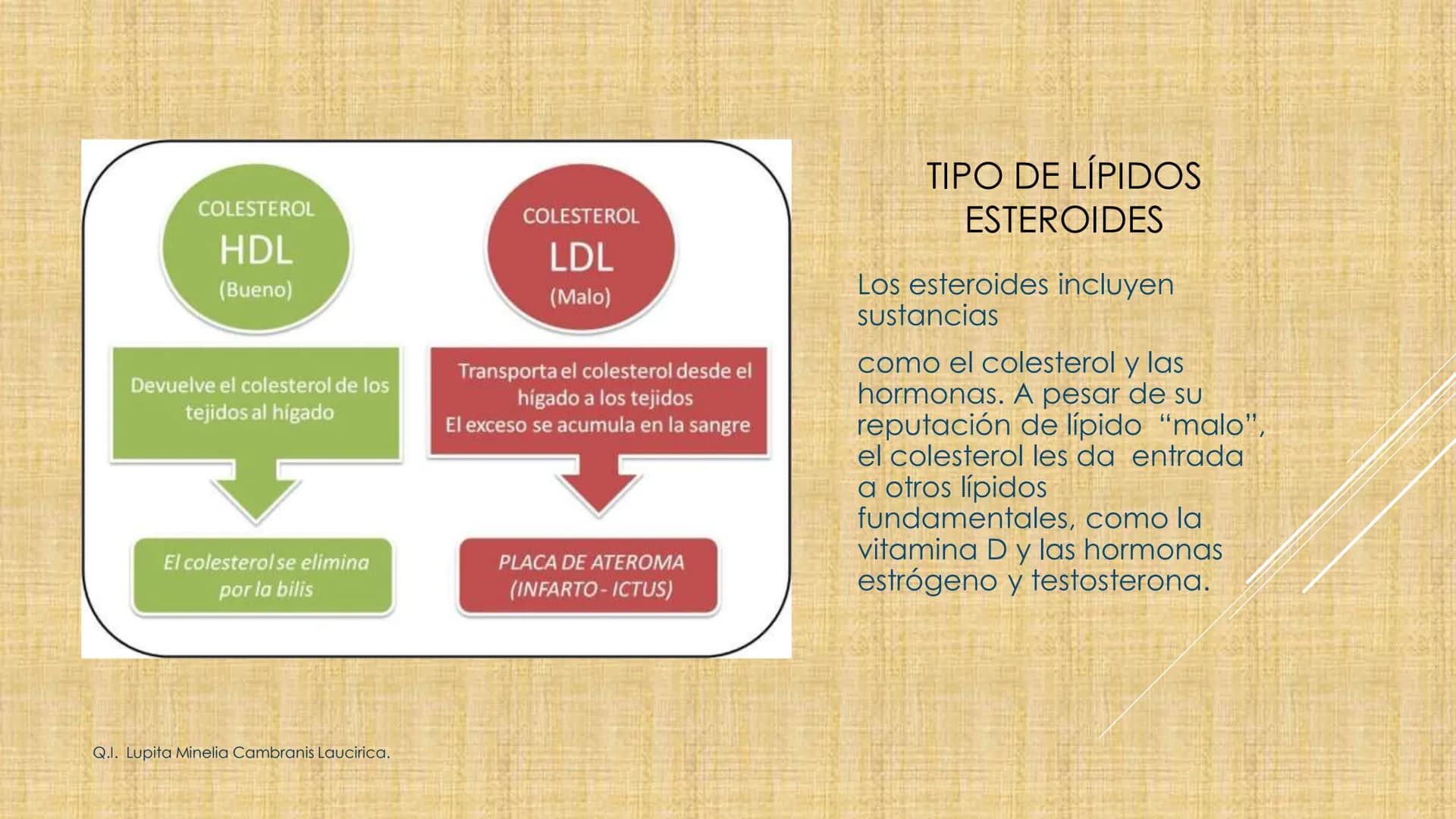 # NIVELES DE ORGANIZACIÓN
4 Nivel celular
5 Nivel tisular
6 Órganos
7 Sistemas
8 Individuos
3 Nivel subcelular
2 Nivel molecular
1 N