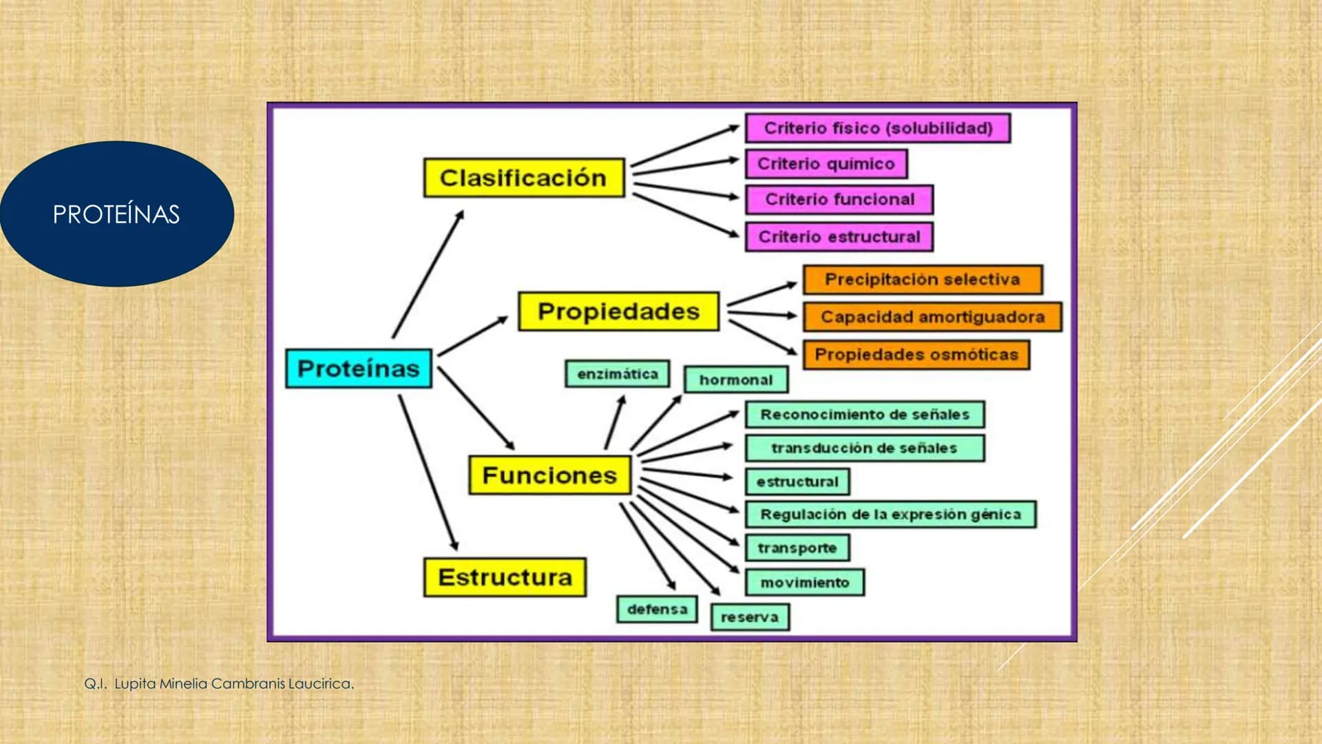 # NIVELES DE ORGANIZACIÓN
4 Nivel celular
5 Nivel tisular
6 Órganos
7 Sistemas
8 Individuos
3 Nivel subcelular
2 Nivel molecular
1 N