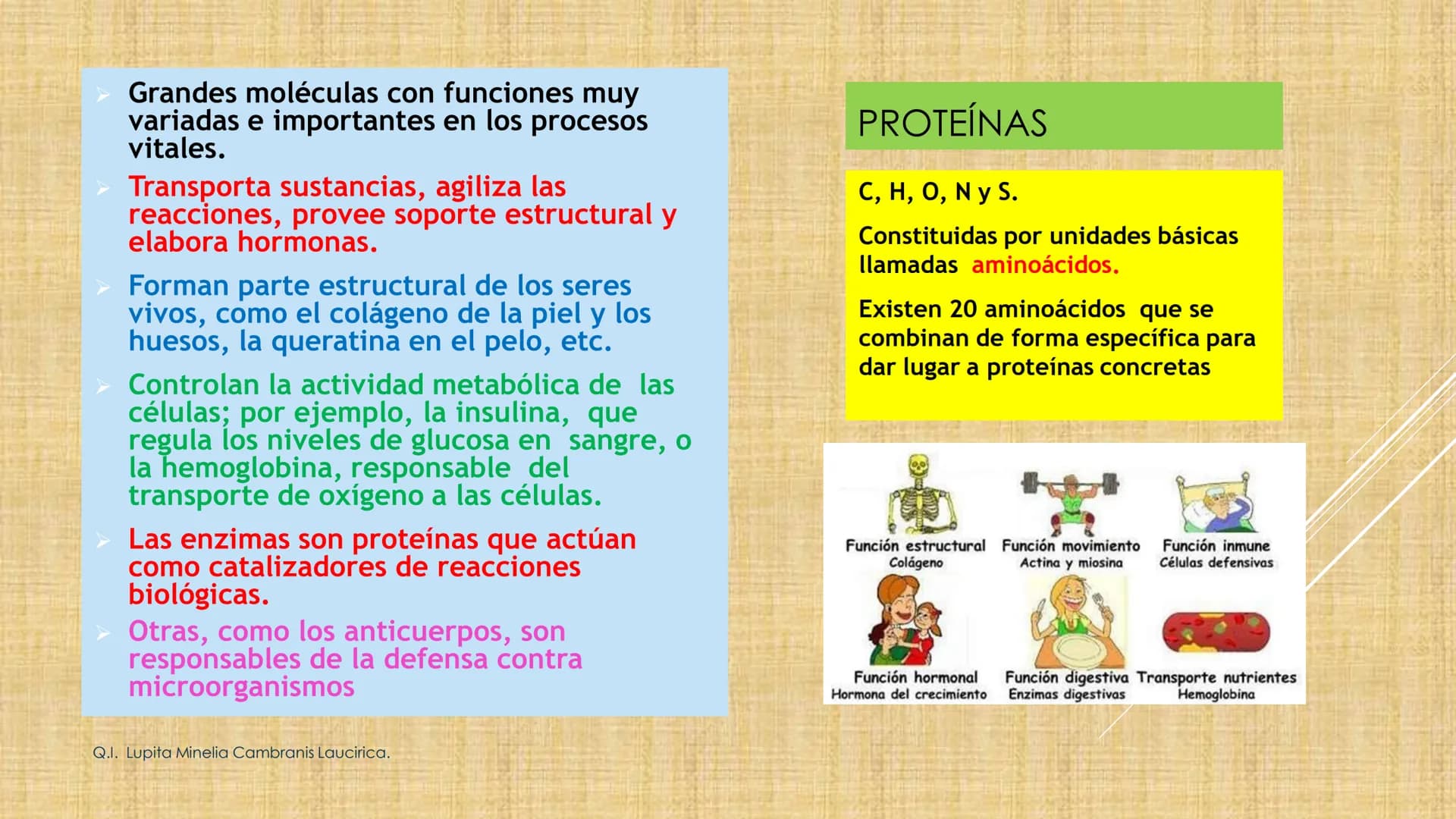 # NIVELES DE ORGANIZACIÓN
4 Nivel celular
5 Nivel tisular
6 Órganos
7 Sistemas
8 Individuos
3 Nivel subcelular
2 Nivel molecular
1 N