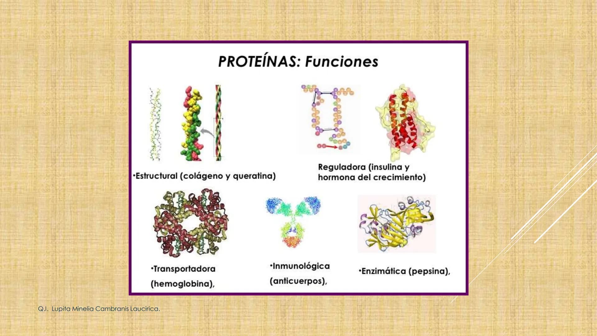 # NIVELES DE ORGANIZACIÓN
4 Nivel celular
5 Nivel tisular
6 Órganos
7 Sistemas
8 Individuos
3 Nivel subcelular
2 Nivel molecular
1 N