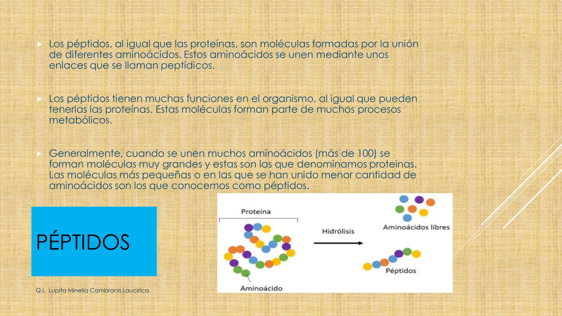 # NIVELES DE ORGANIZACIÓN
4 Nivel celular
5 Nivel tisular
6 Órganos
7 Sistemas
8 Individuos
3 Nivel subcelular
2 Nivel molecular
1 N